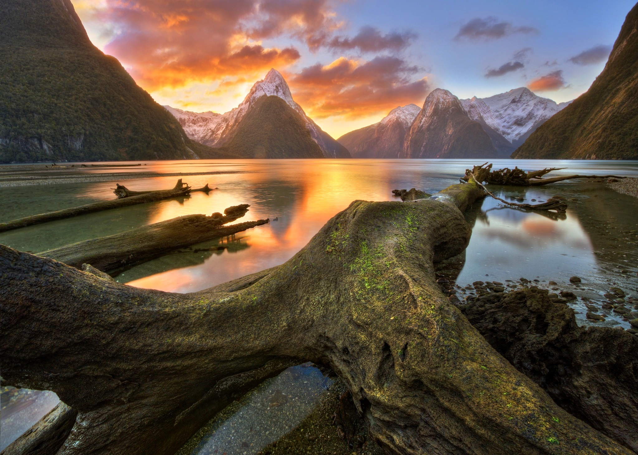 Clouds, New Zealand, sky, mountains, Milford Sound, lake, Trunks