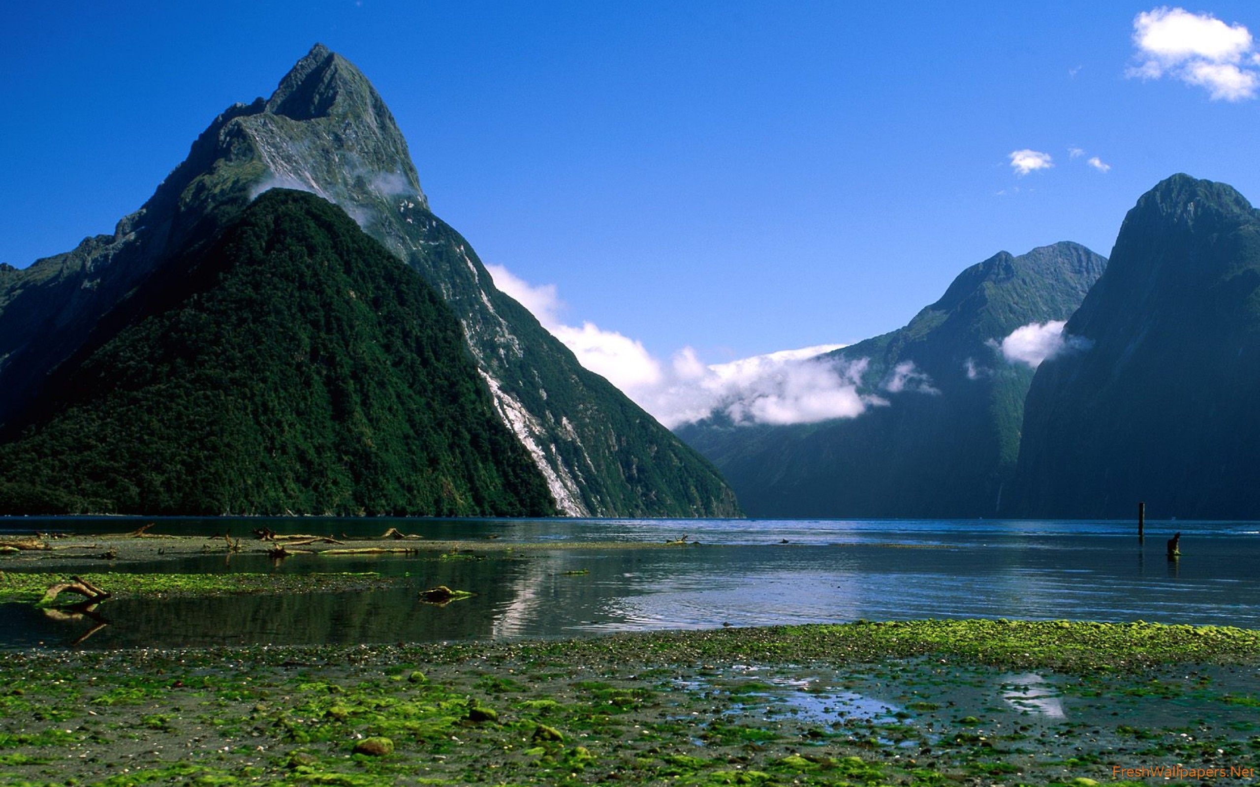 Mitre Peak, Milford Sound, New Zealand wallpapers Freshwallpapers