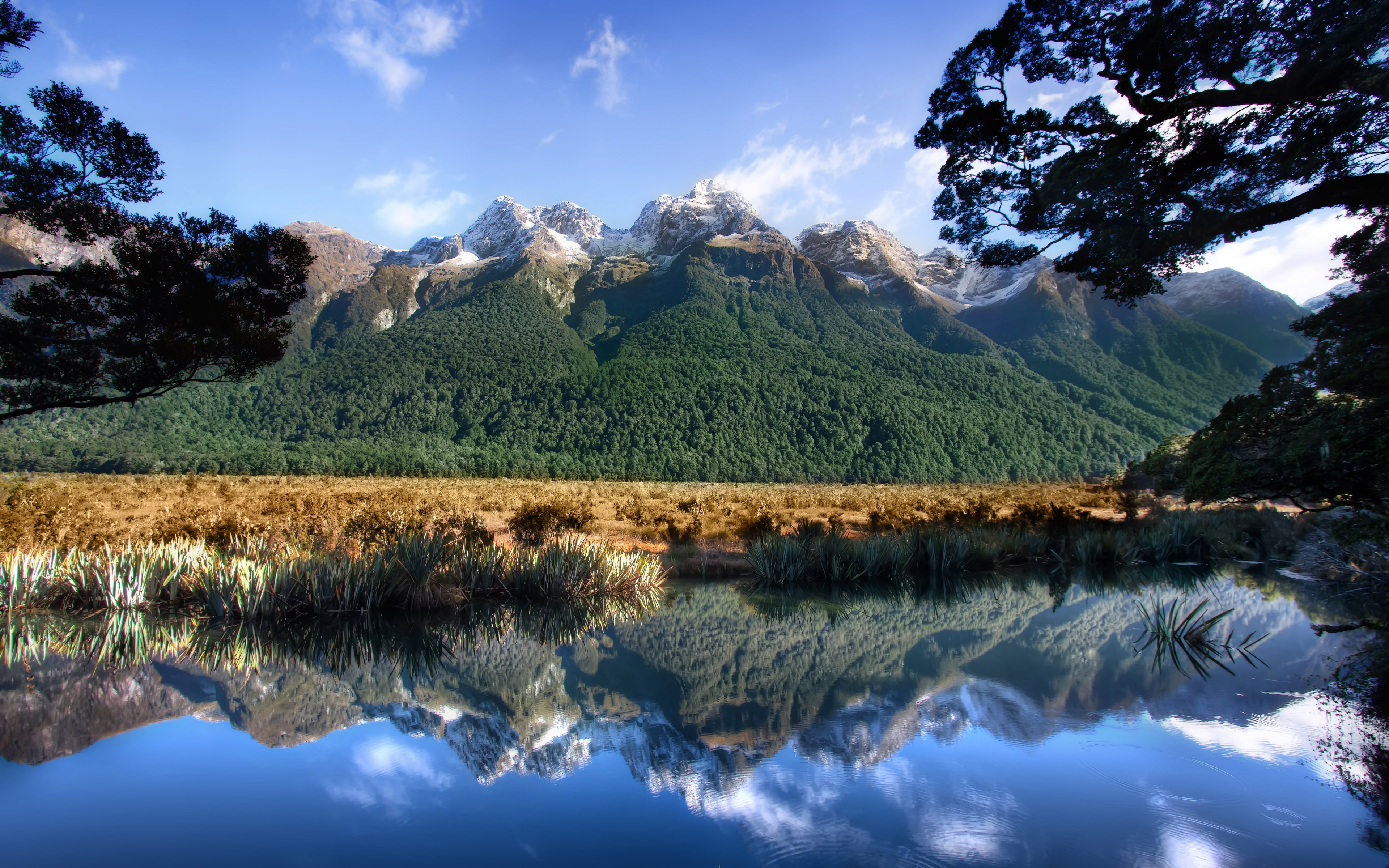 New Zealand, Milford Sound, Mirror Lake widescreen wallpaper