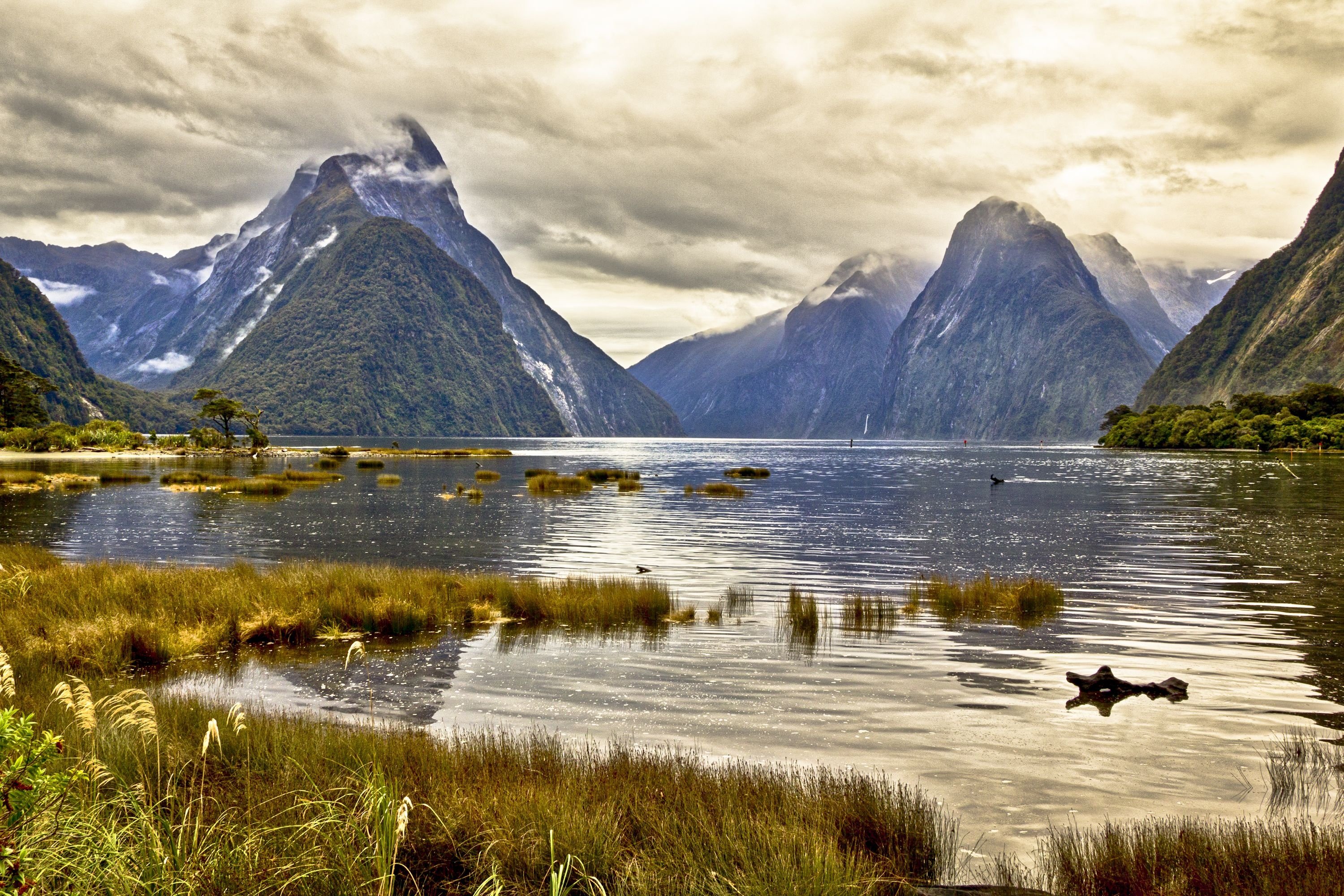 Milford Sound New Zealand pond mountain landscape wallpaper