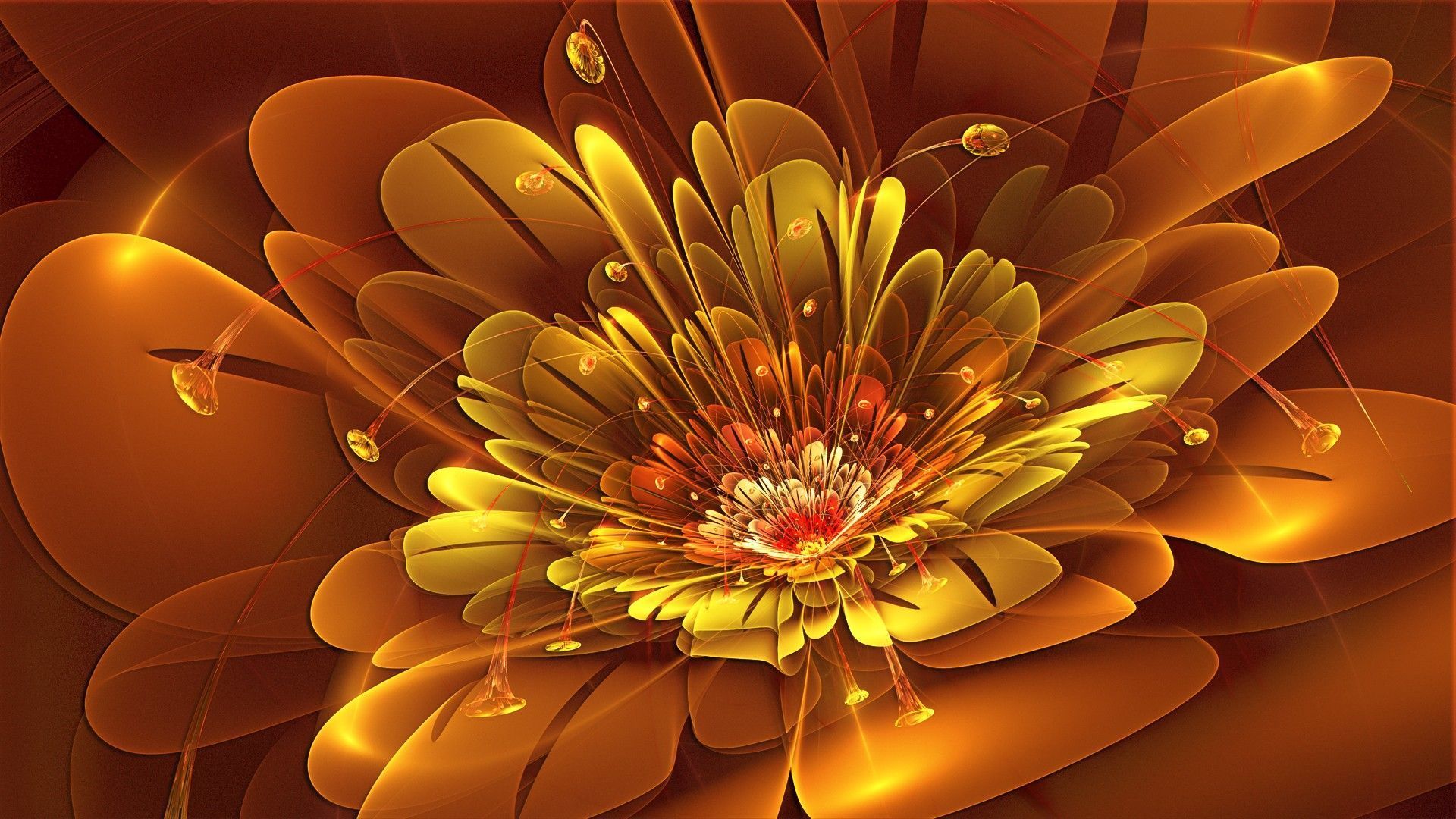 Flower Abstract abstract flower HD phone wallpaper  Peakpx