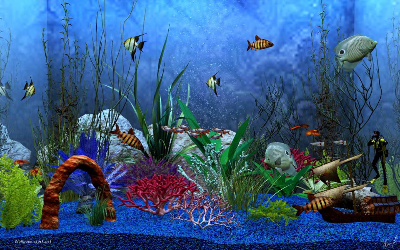 1280x800 aquarium view desktop pc and mac wallpaper fish tank 3d