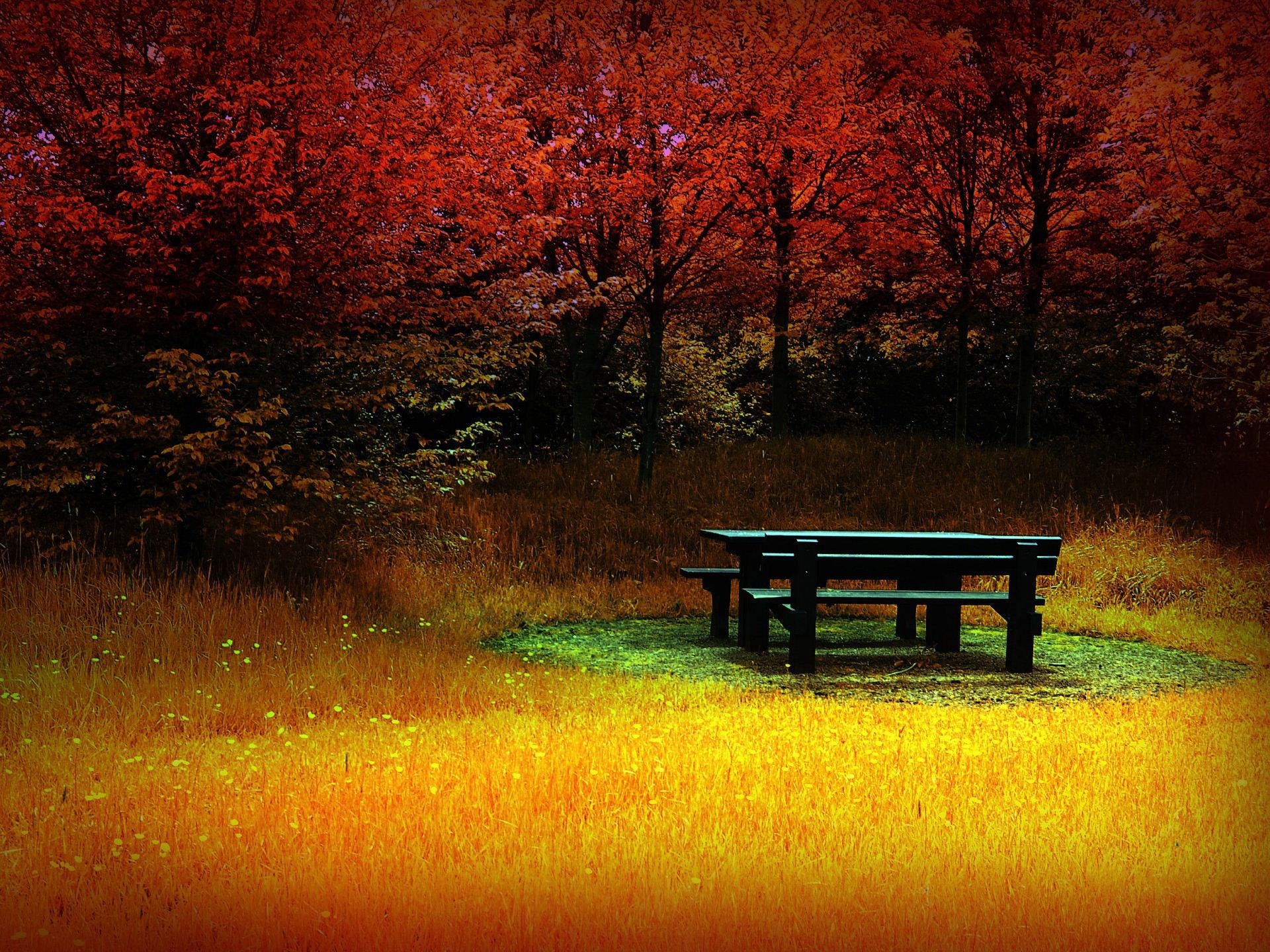 Autumn Best Remember HD Wallpapers HD Wallpapers & Backgrounds au