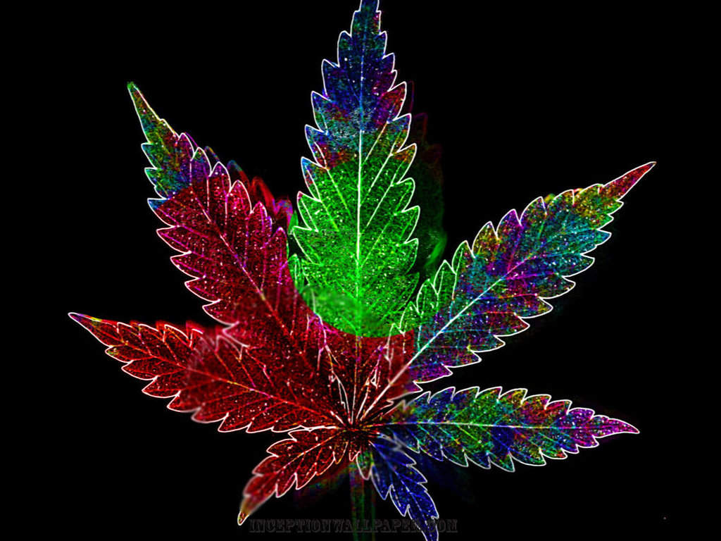 3D Wallpaper Cool Weed Leaf Marijuana Hd Wallpapers Important