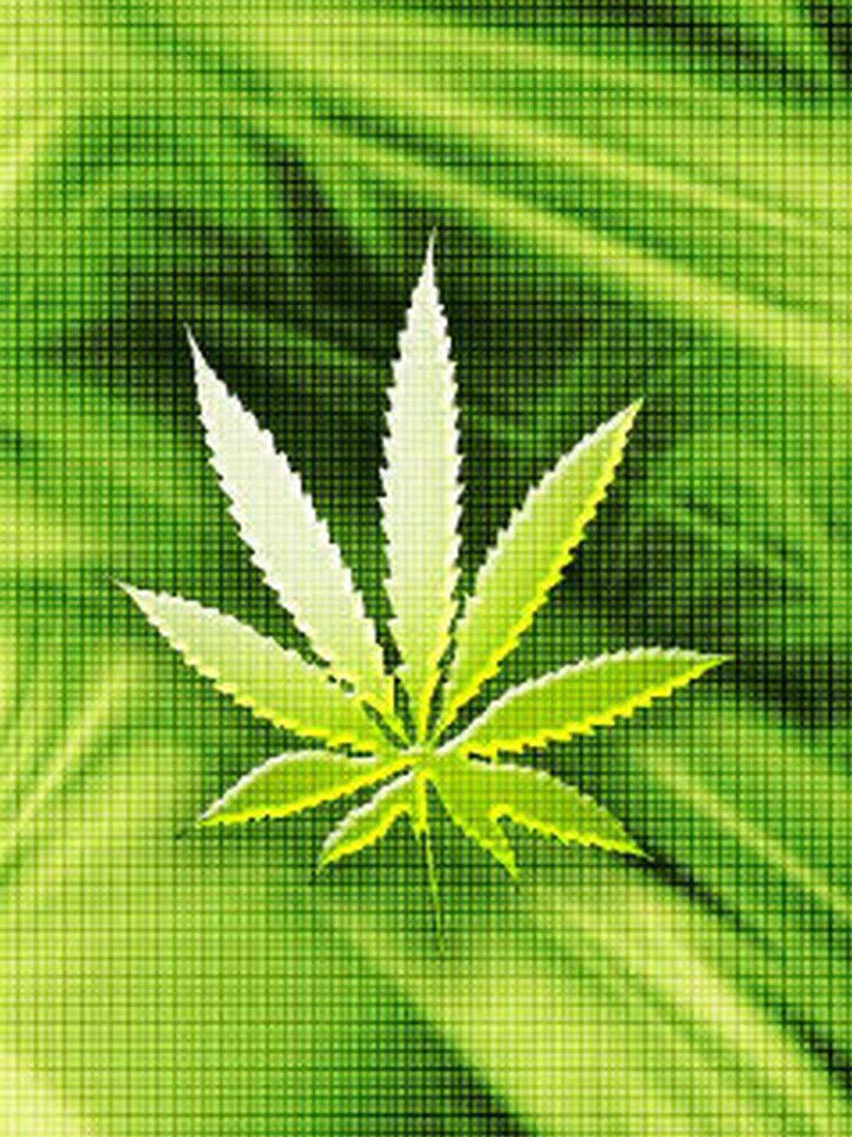 Weed Wallpaper Hd For Mobile Download