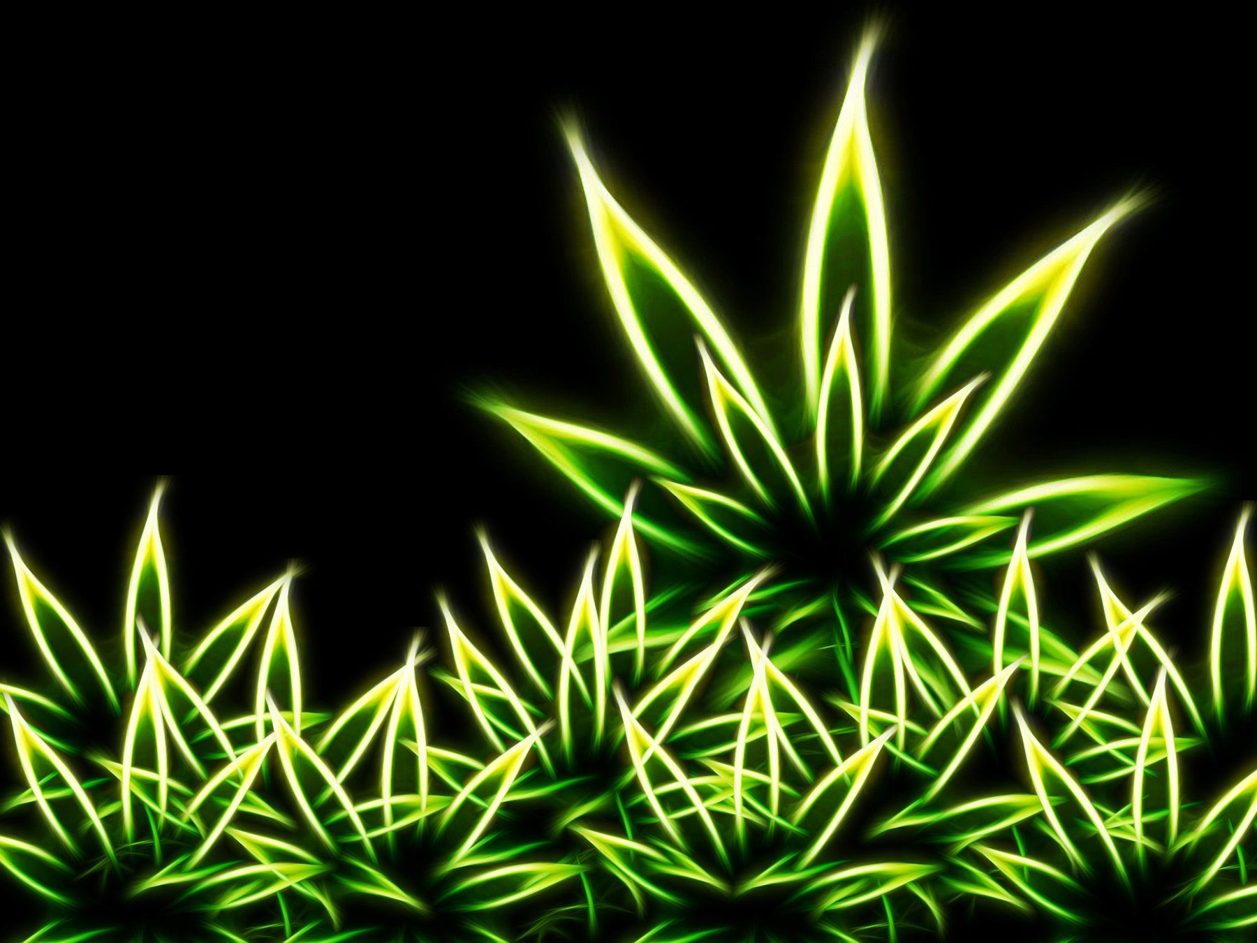 Marijuana Wallpapers HD Group (67+)