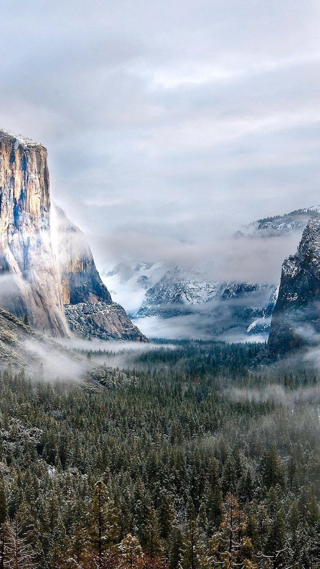 Download Wallpaper 1080x1920 Mountains, Fog, Clouds, Fir trees