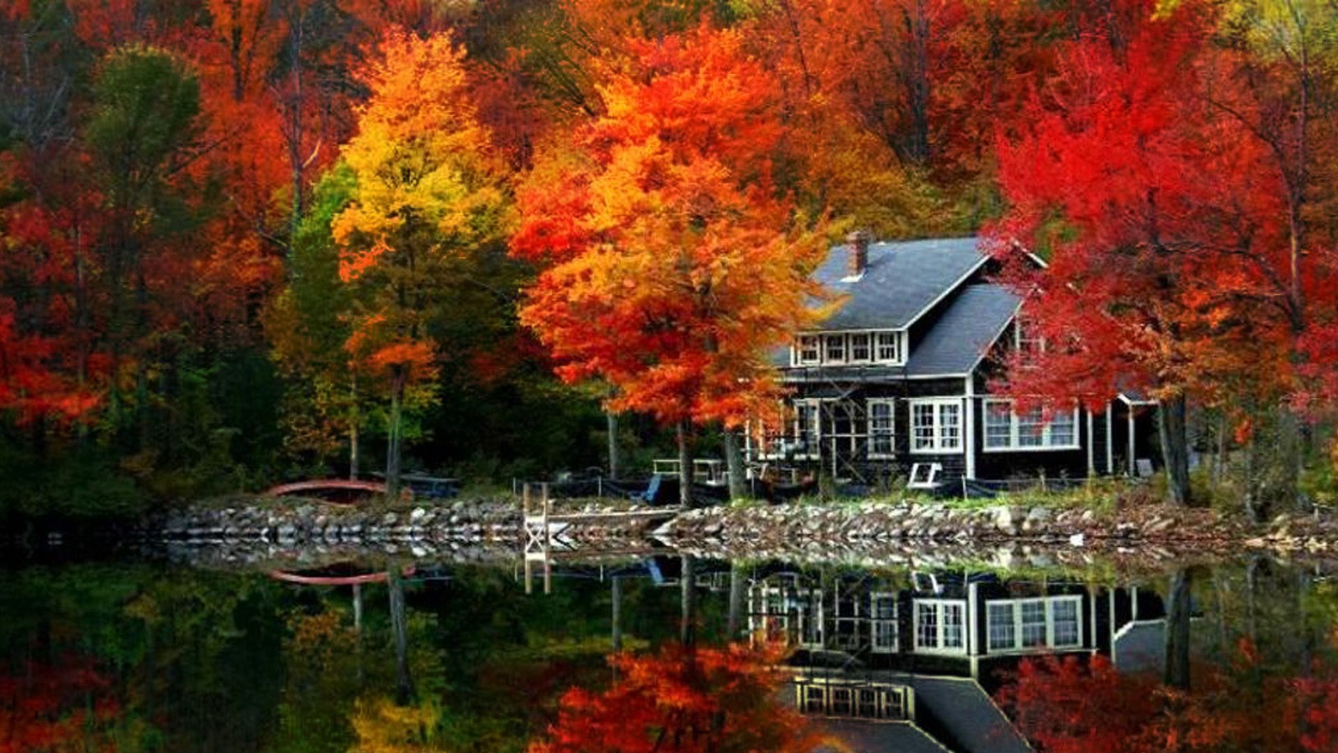 Autumn Tree Desktop Wallpaper, Autumn Tree Backgrounds, New Backgrounds