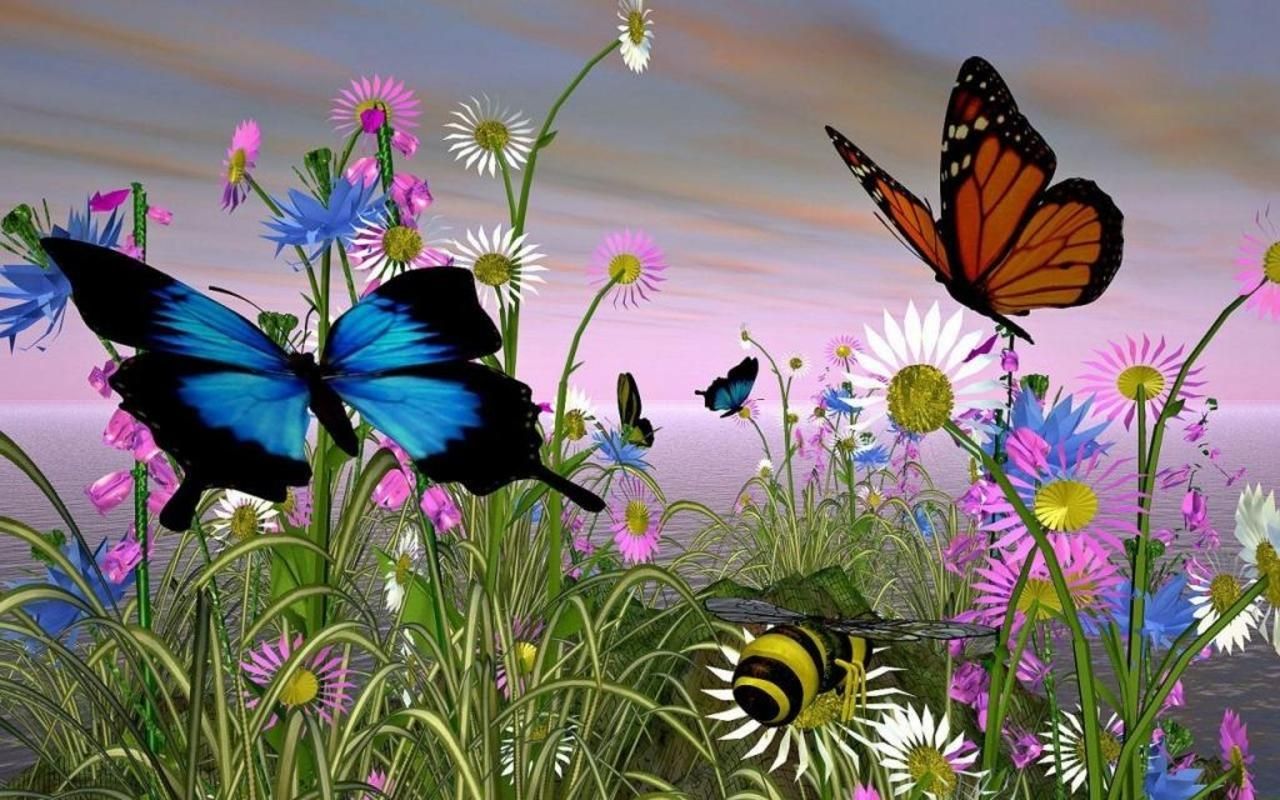 Beautiful Butterflies Wallpaper - 175028