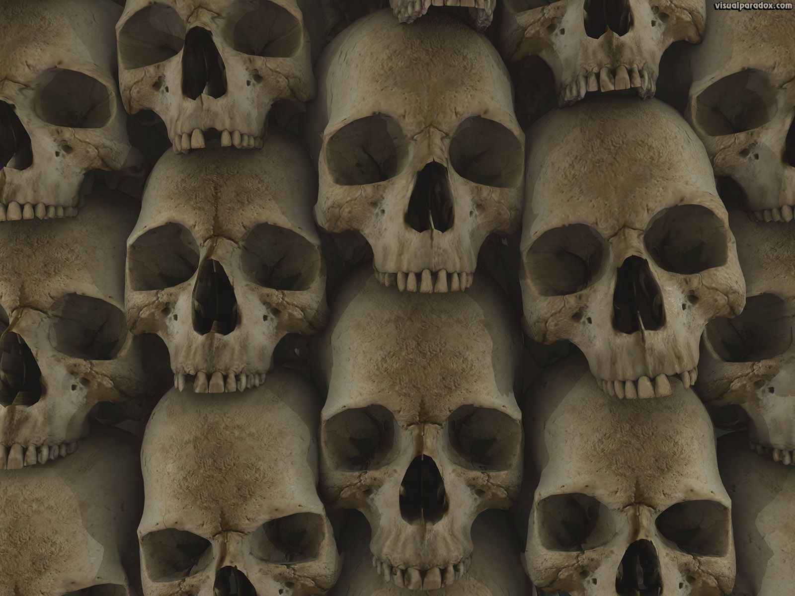 Skulls Wallpaper - 102013