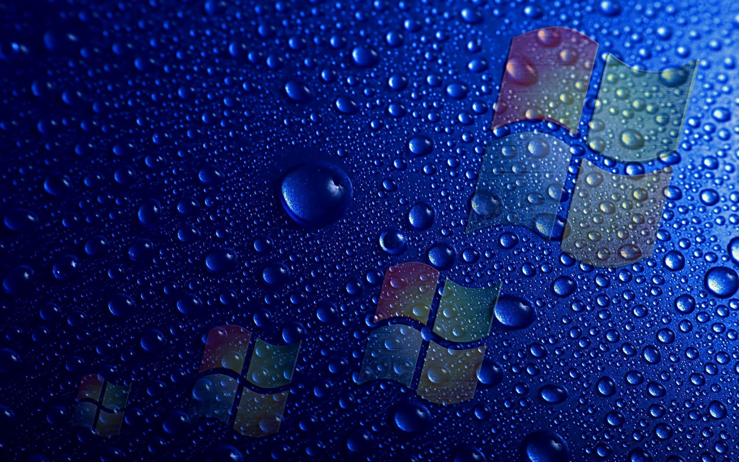 Blue Technology Wallpaper 2560X1600 Blue, Technology, Microsoft ...