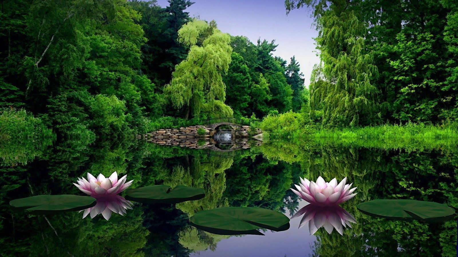Lotus Flower Green Nature Wallpaper HD Desktop #5445 Wallpaper ...