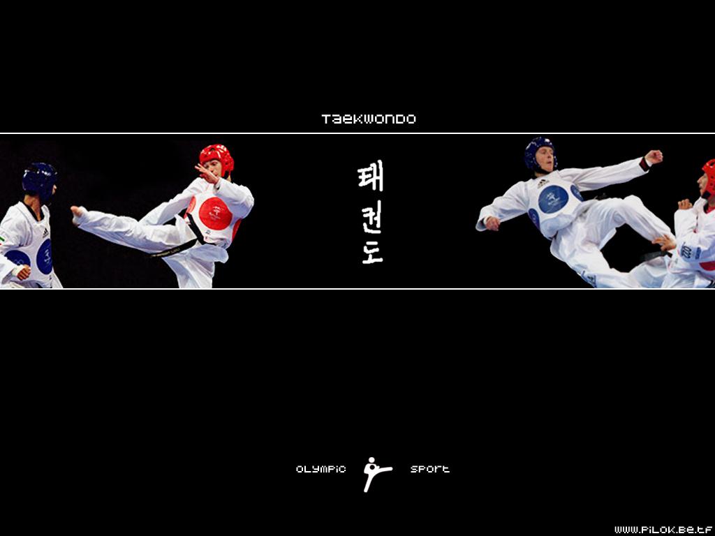 taekwondo | Page 5
