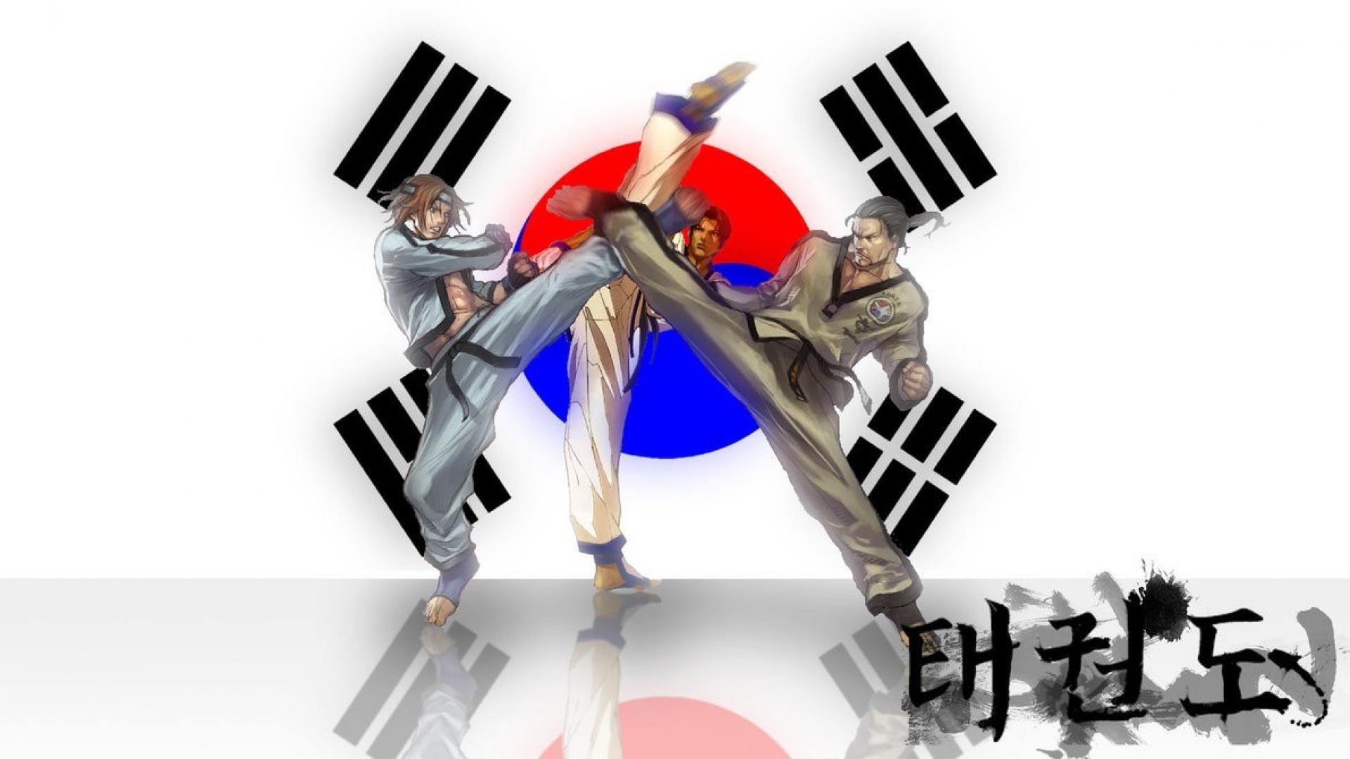 Tekken korea taekwondo hwoarang wallpaper | (13948)