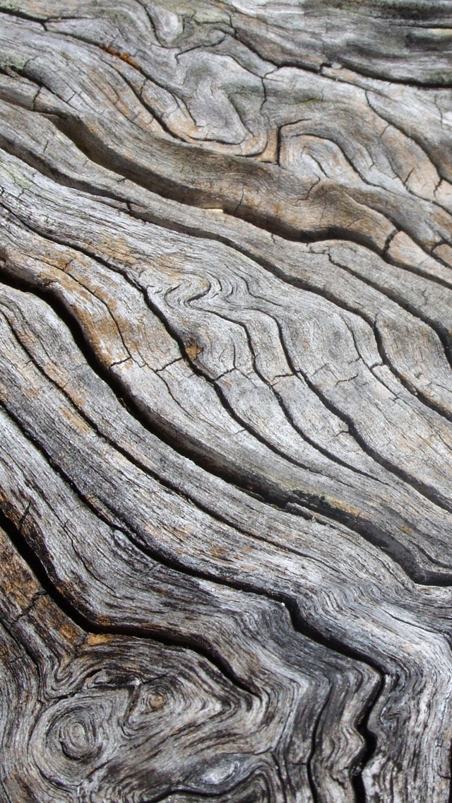 Exaggerated wood grain iPhone 5 wallpapers, Background and Backgrounds