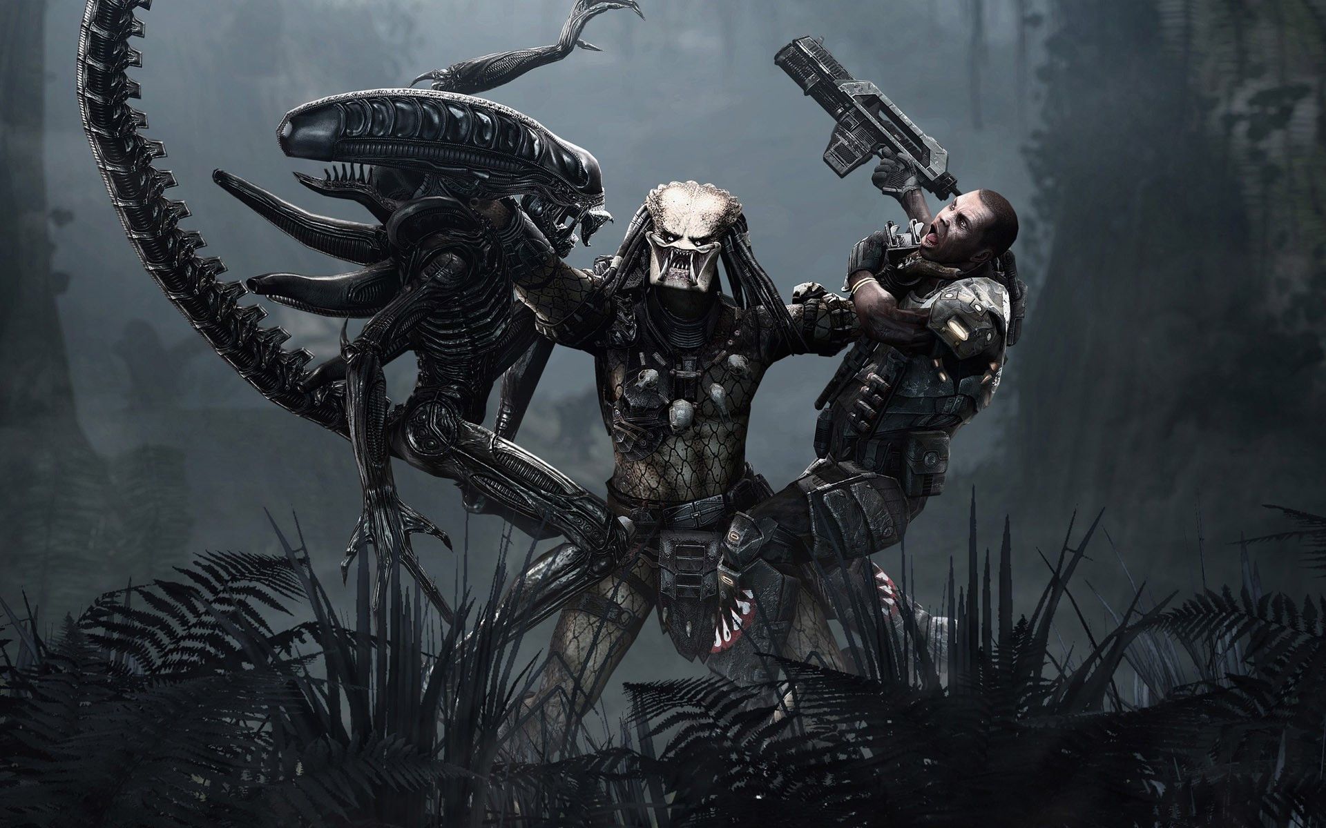 Alien vs Predator Wallpaper by carnageX333 on DeviantArt