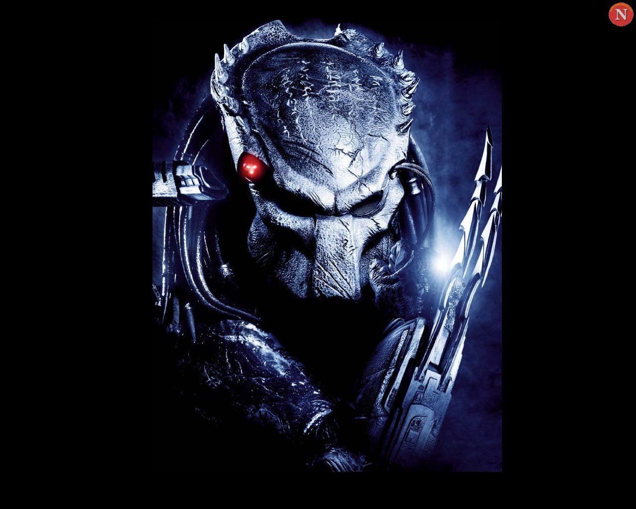 Wallpaper alien, Predator, Predator for mobile and desktop