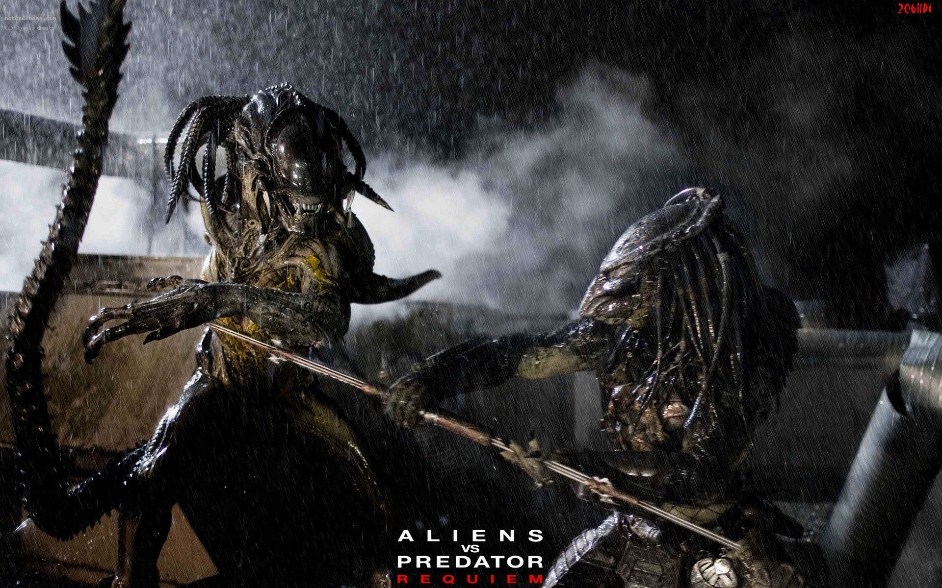 Wallpaper of Alien vs Predator in high definition - AVP on Earth