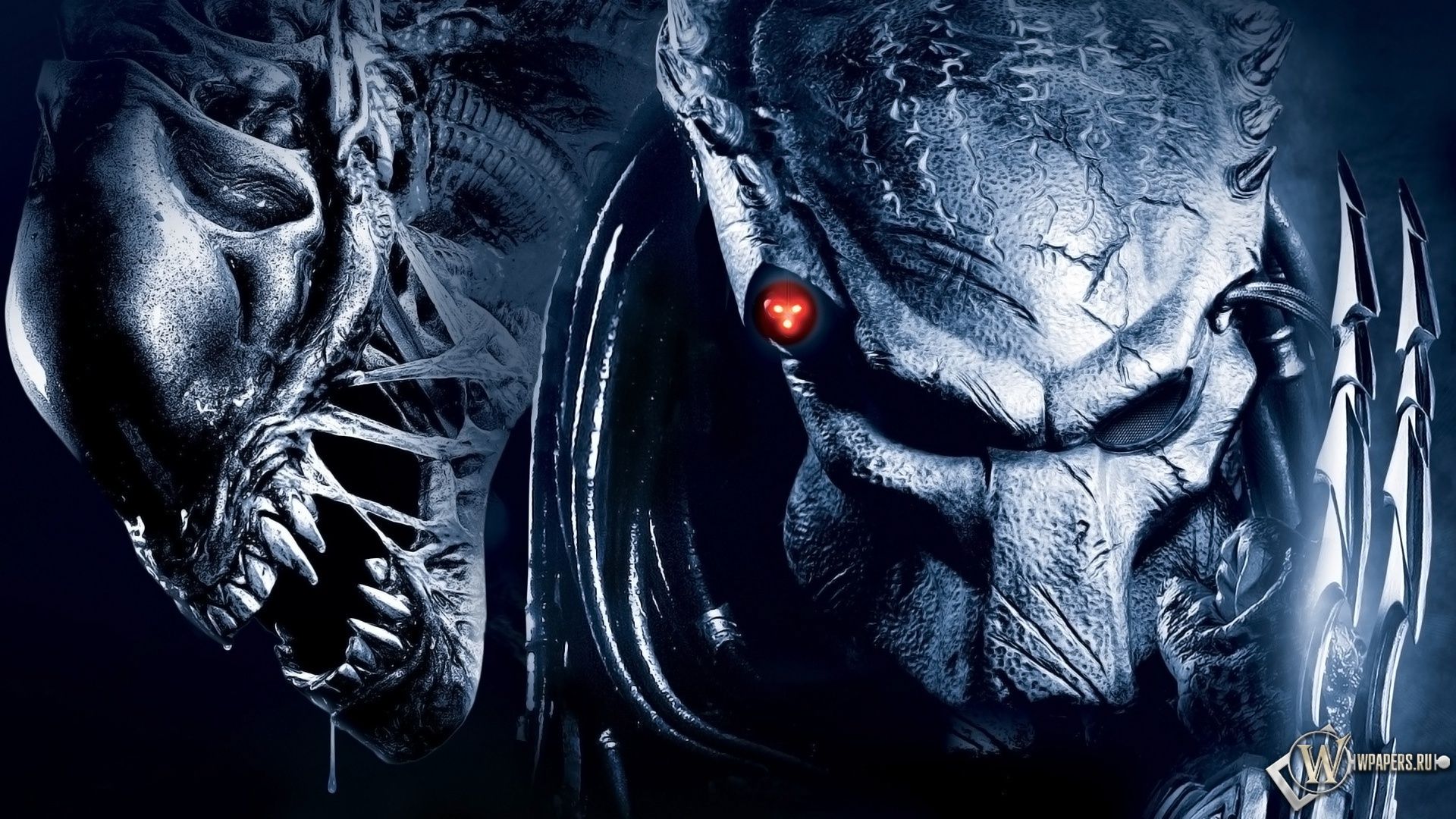 Alien vs predator Computer Wallpapers, Desktop Backgrounds