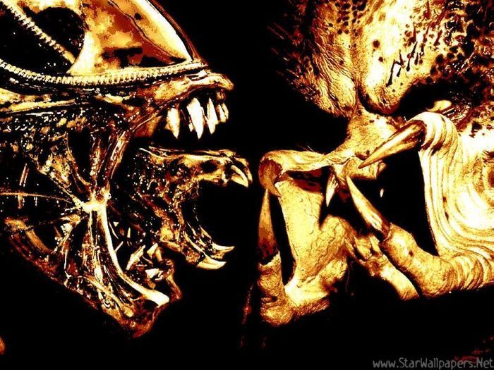 Aliens vs. predator REQUIEM Publish with Glogster