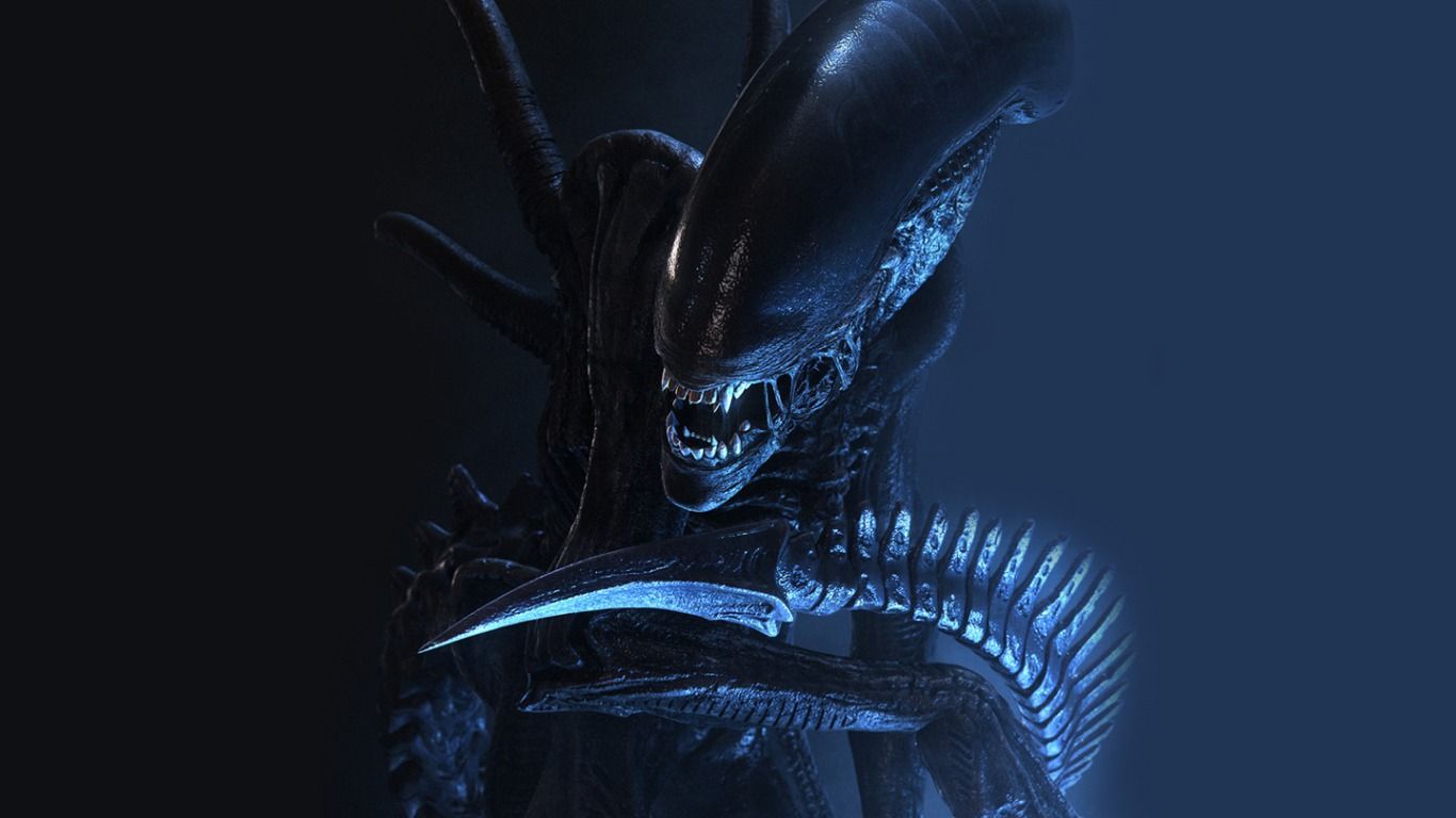 Alien vs Predator Wallpaper by carnageX333 on DeviantArt