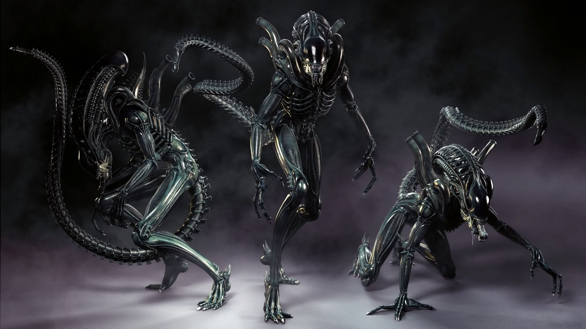 26 Aliens Vs. Predator HD Wallpapers Backgrounds - Wallpaper Abyss