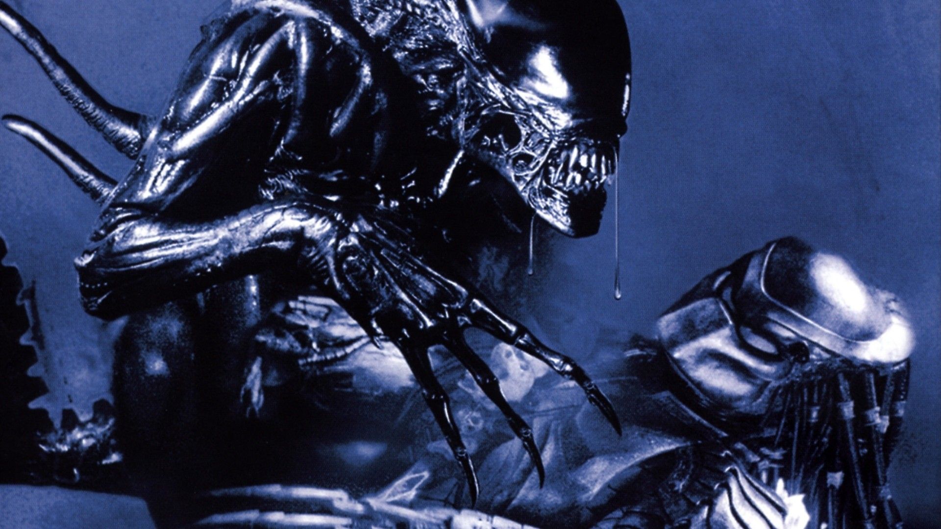 Alien vs Predator Wallpaper by carnageX333 on DeviantArt