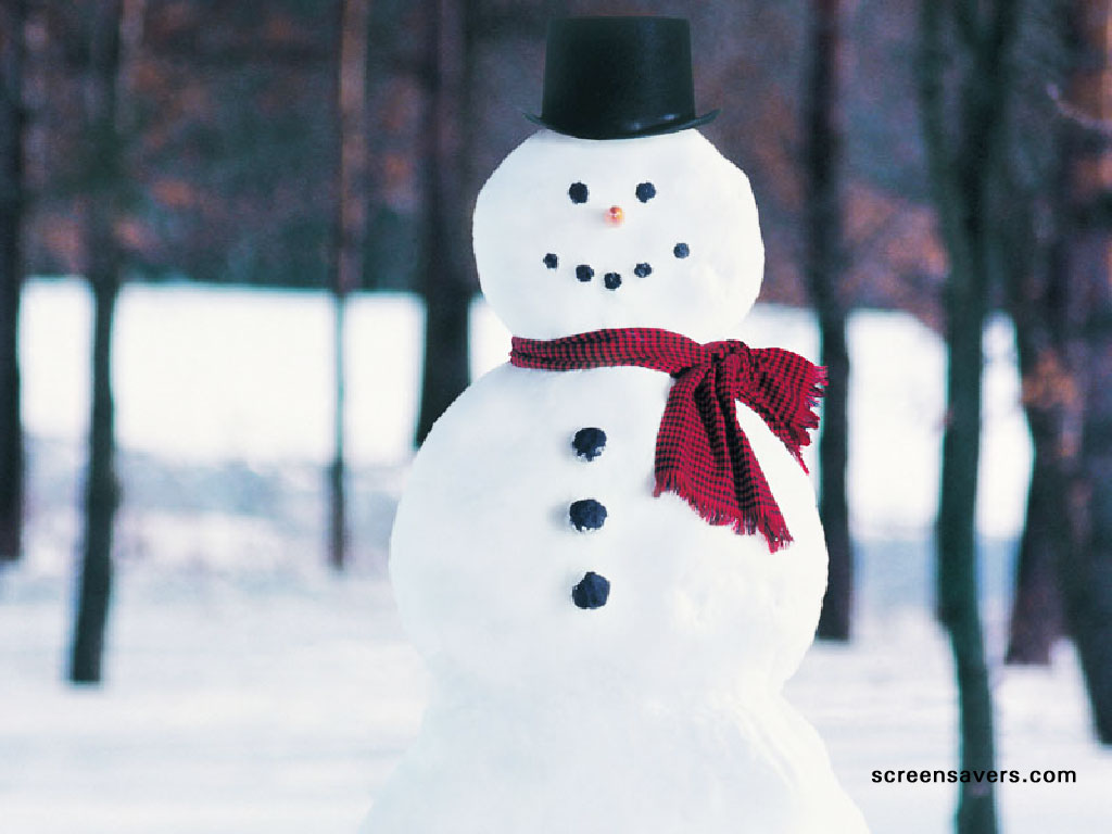 Winter real snowman HD Wallpapera High Resolution