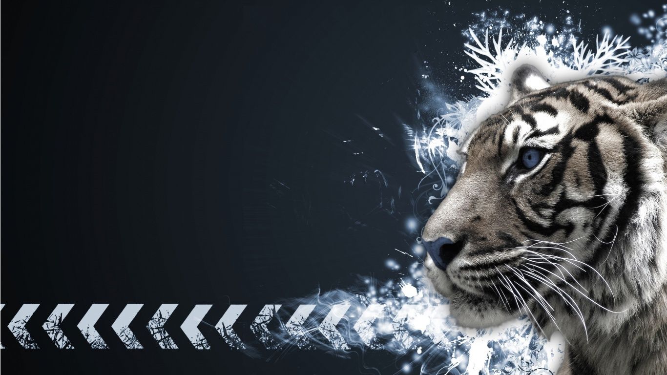 Images of a white tiger wallpaper