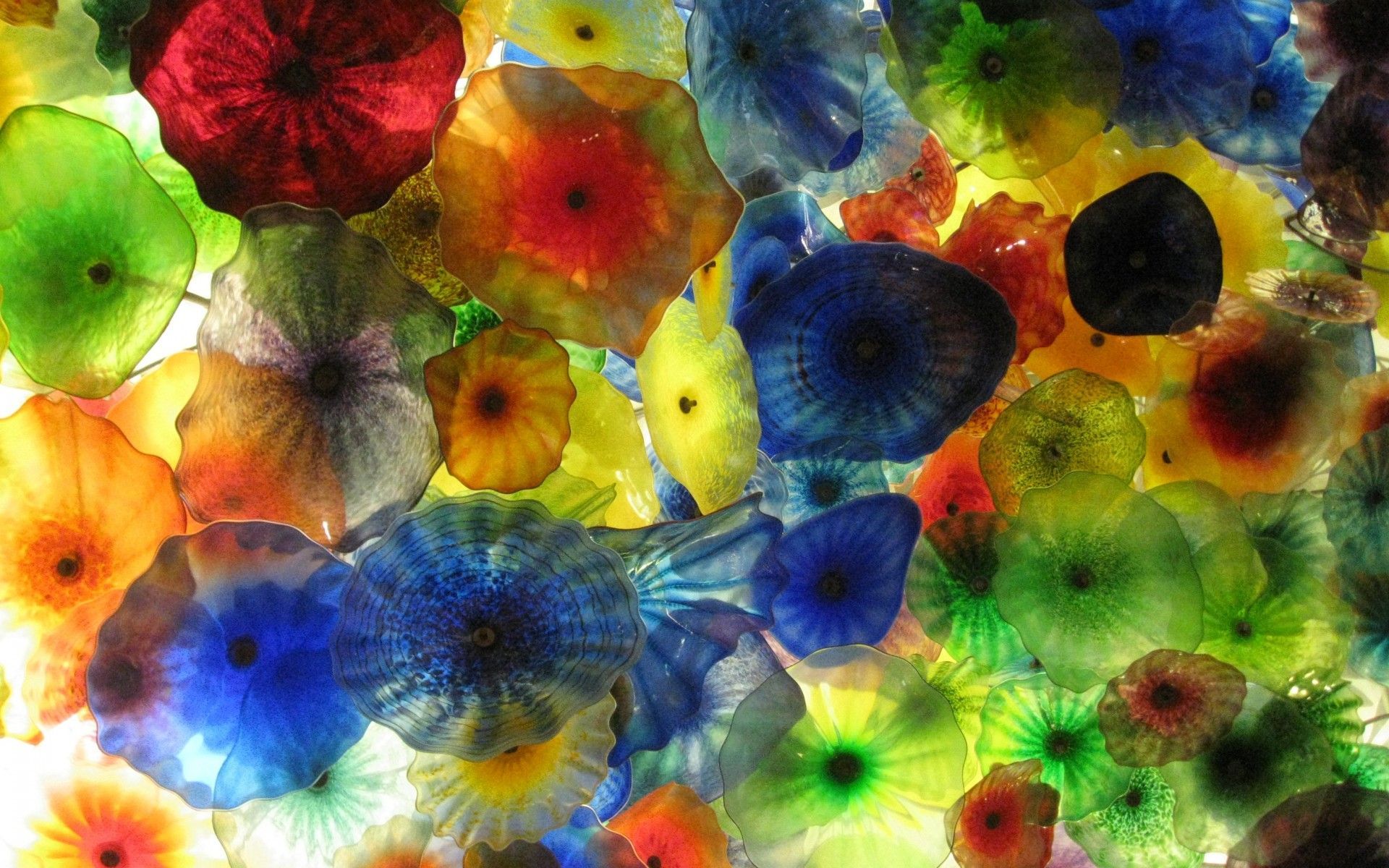 Jellyfish Wallpapers | Best Wallpapers