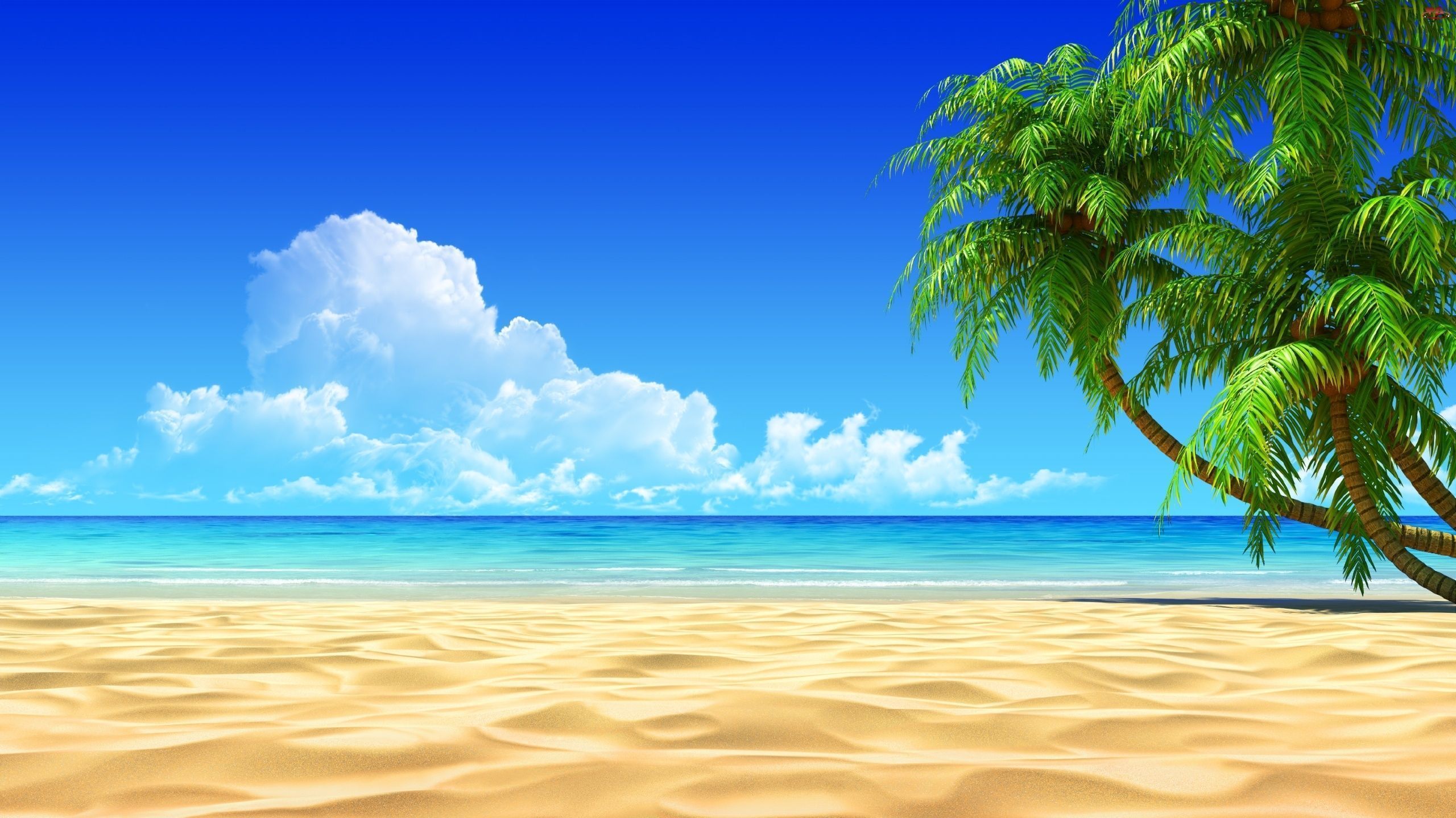 Beach HD Wallpaper For Stunning Background! - Bliz Pix