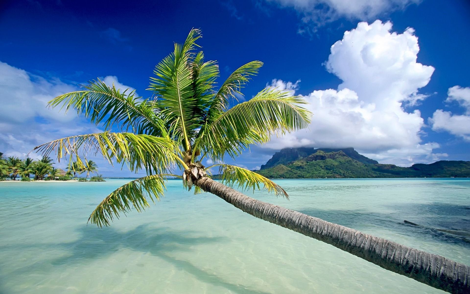 30 HD Tropical Beach Backgrounds