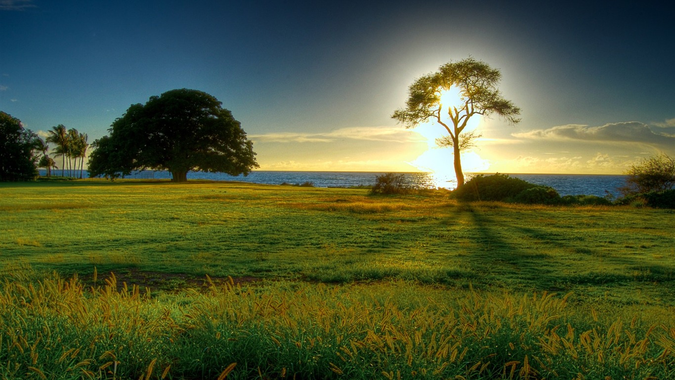 Sunrise Tree-the worlds natural landscape photography - 1366x768 ...
