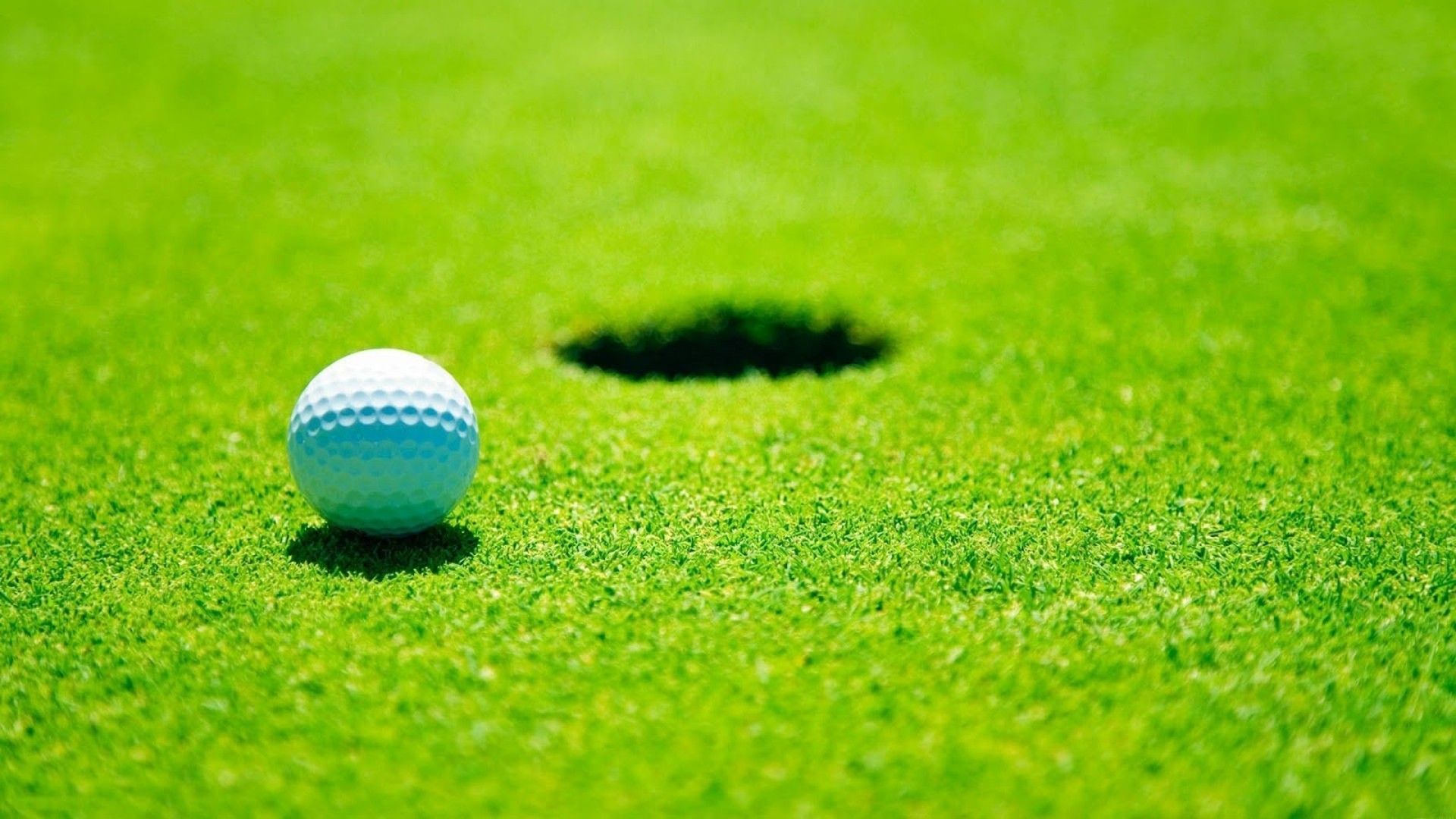 Backgrounds balls golf course grass wallpaper AllWallpaper.in