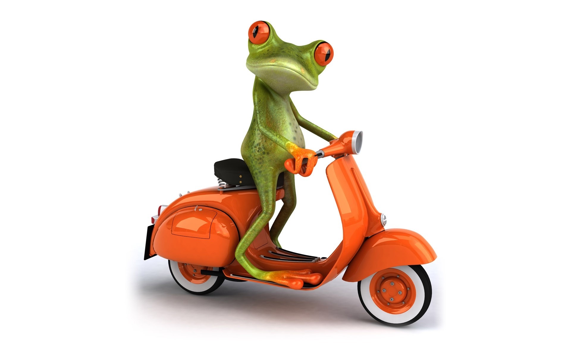 Cartoon frog drive scooter funny wallpaper | HD Wallpapers Rocks