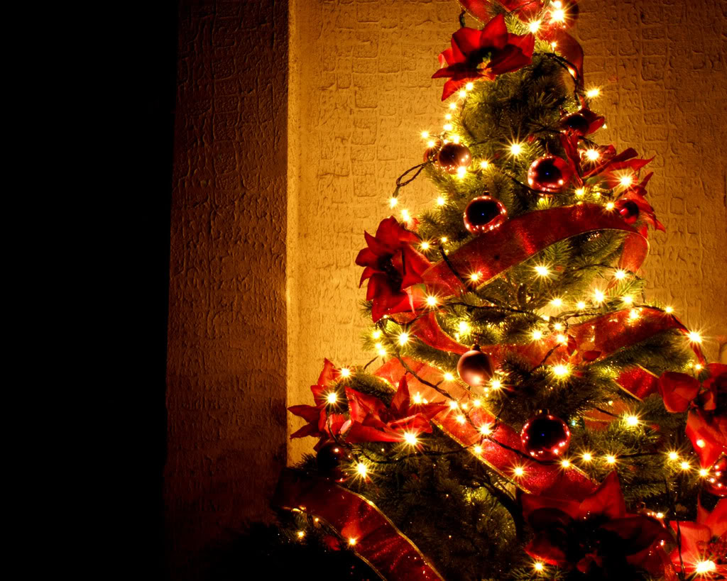 Christmas Tree Wallpaper Backgrounds Desktop Wall Collection