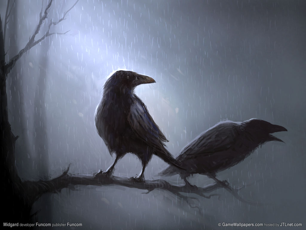 Raven desktop wallpaper
