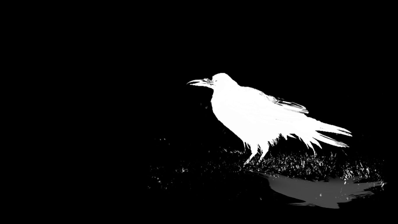 raven character silhouette monochrome ravens #QbUI