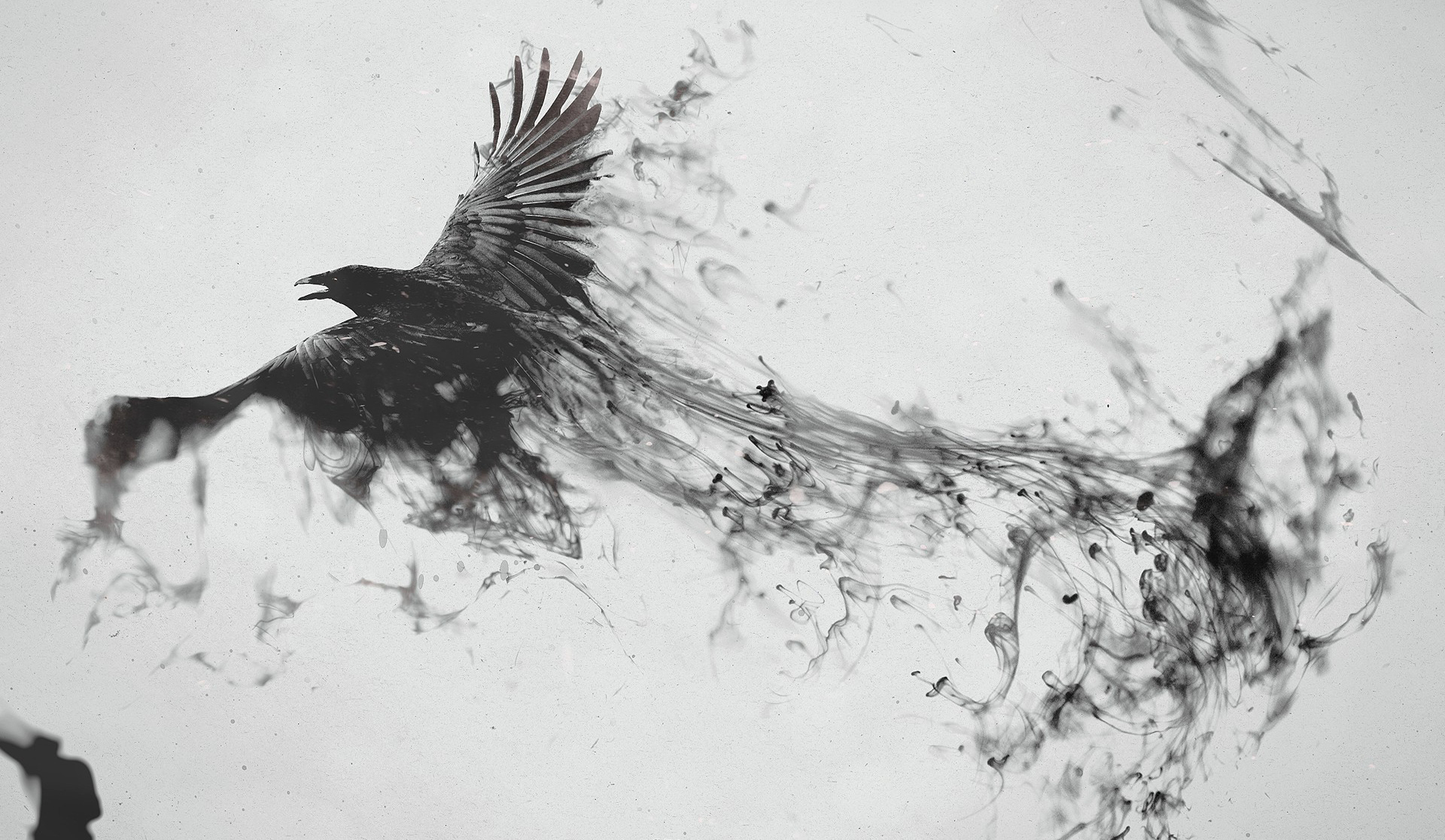 Ravens Black And White Dark Birds Digital Art Wallpapers HD ...
