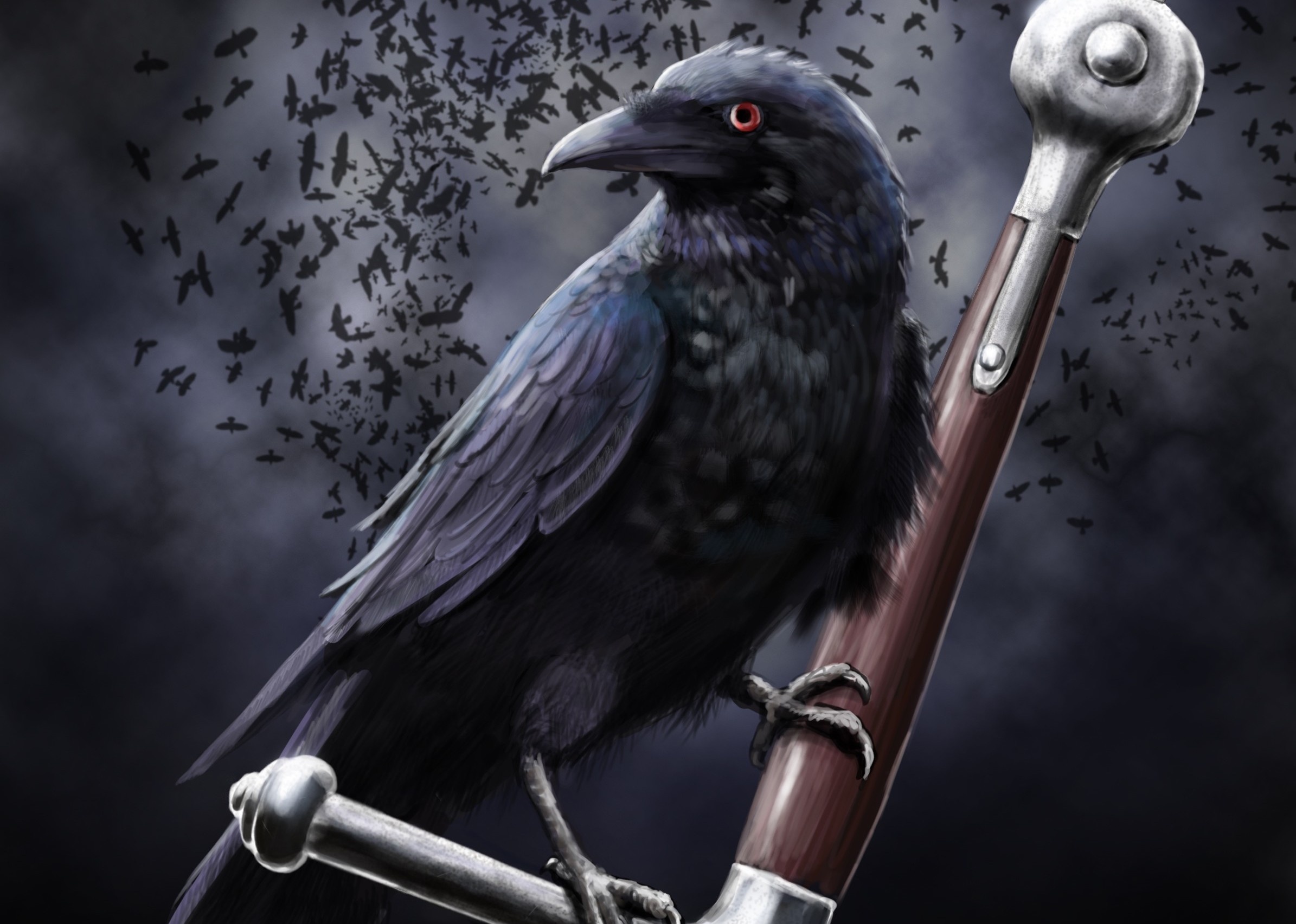 Ravens Crows, Dark, Black Birds, Desktop Wallpapers : Wallpapers13.com