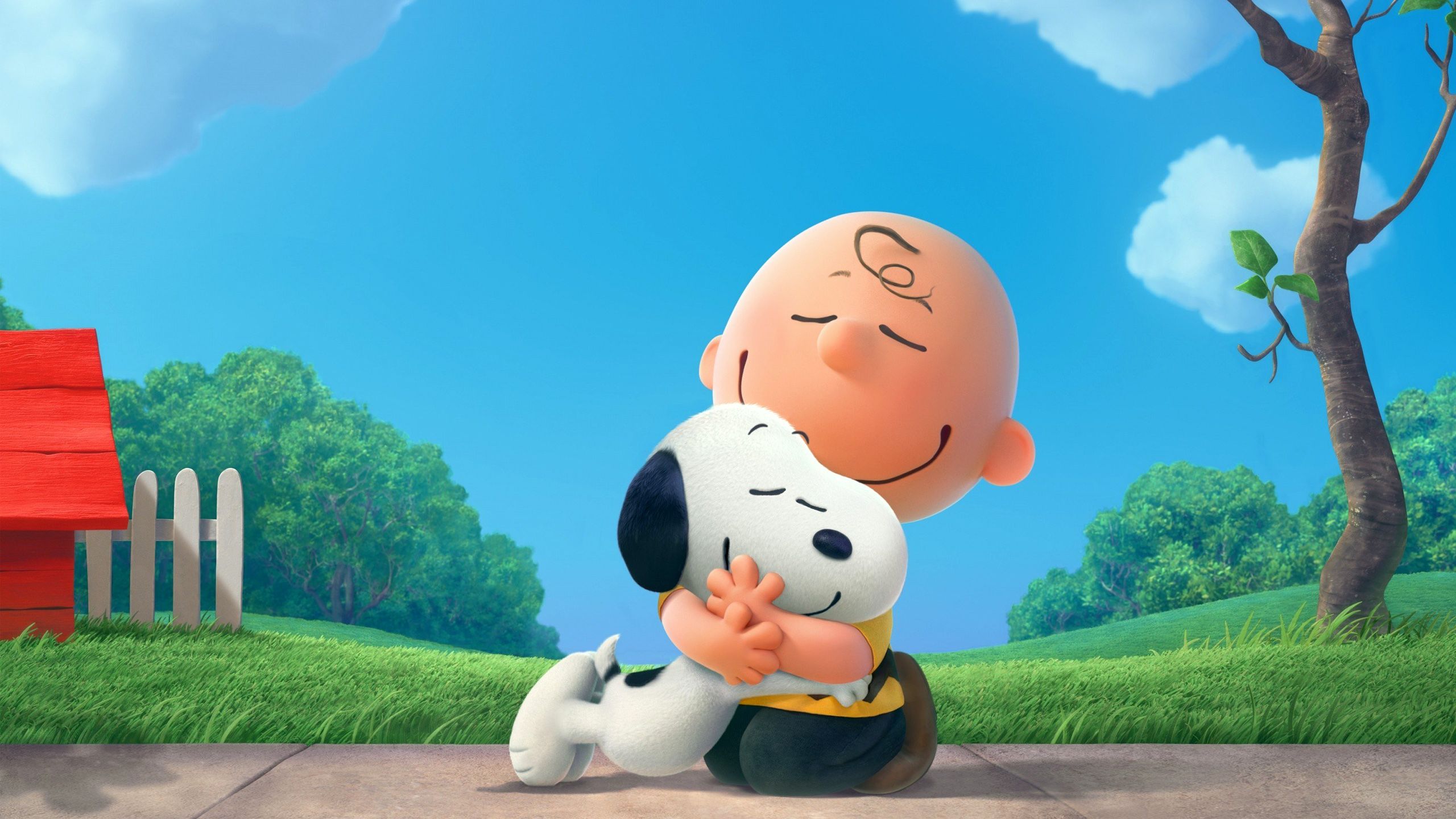 The Peanuts Charlie Brown Snoopy Wallpapers HD Backgrounds