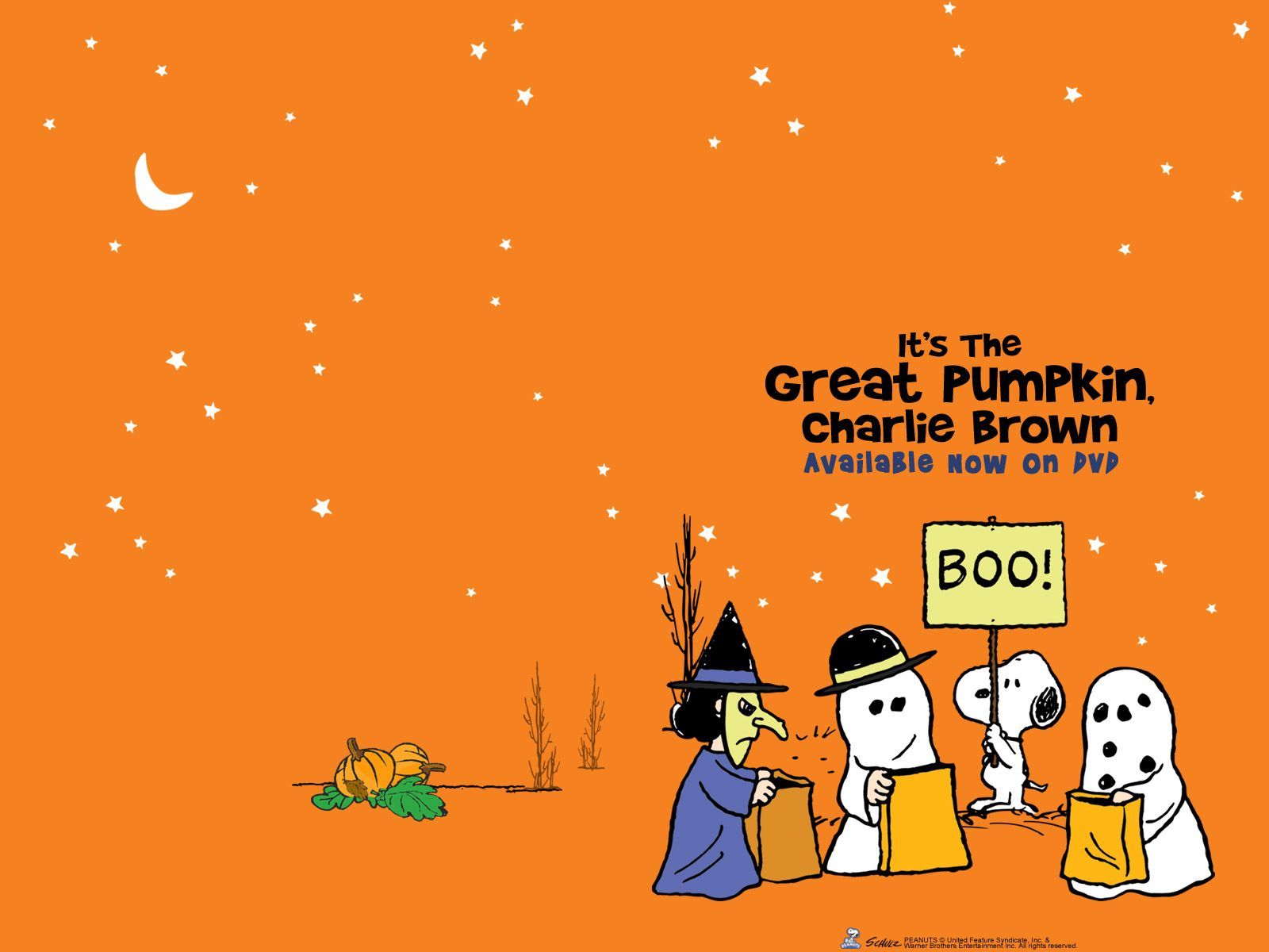 Great Pumpkin Charlie Brown Wallpapers - Wallpaper Cave