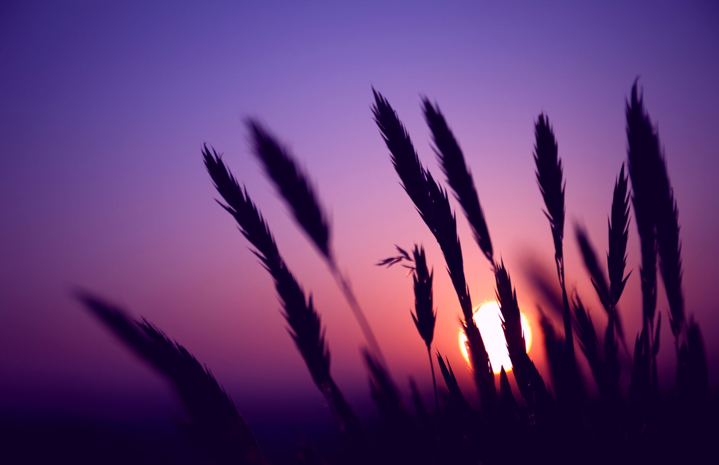 29 Amazing HD and QHD sunset wallpapers | AndroidGuys