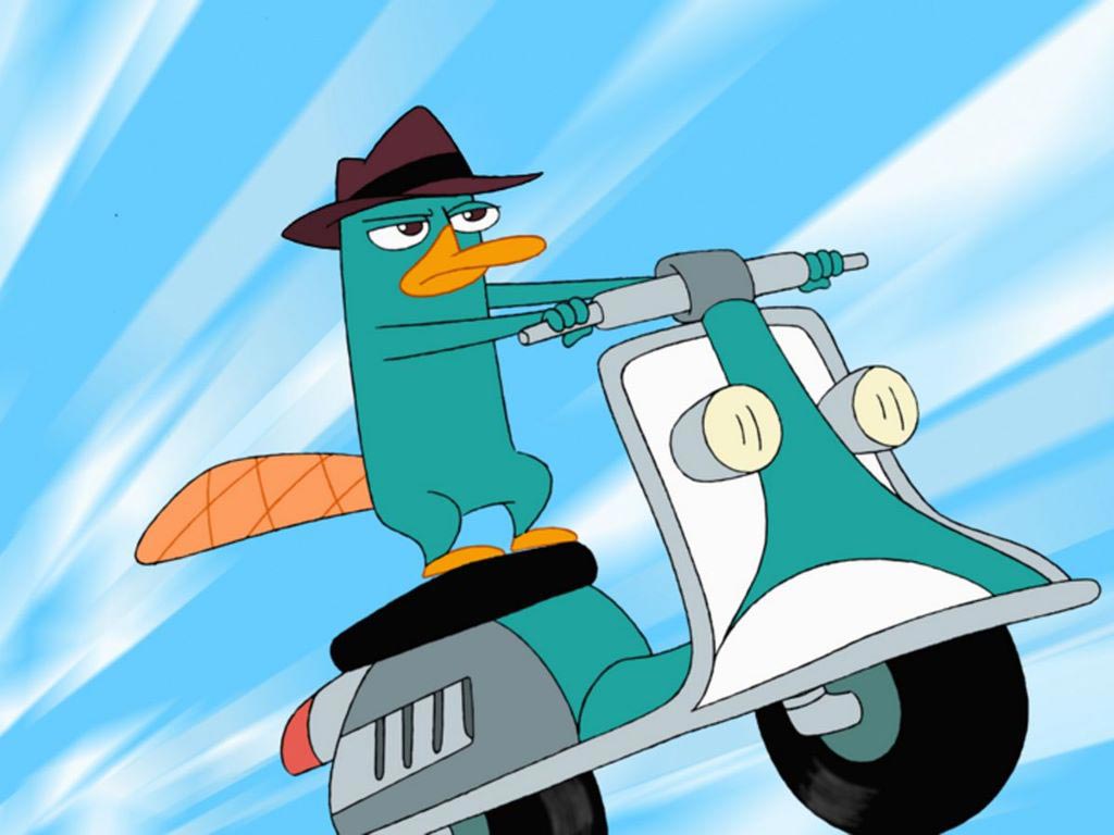 Perry - Phineas and Ferb Wallpaper (31450109) - Fanpop