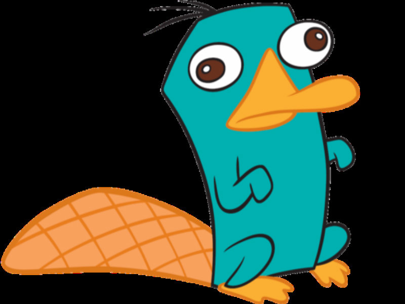 Perry ~ - Phineas and Ferb Wallpaper (31602826) - Fanpop