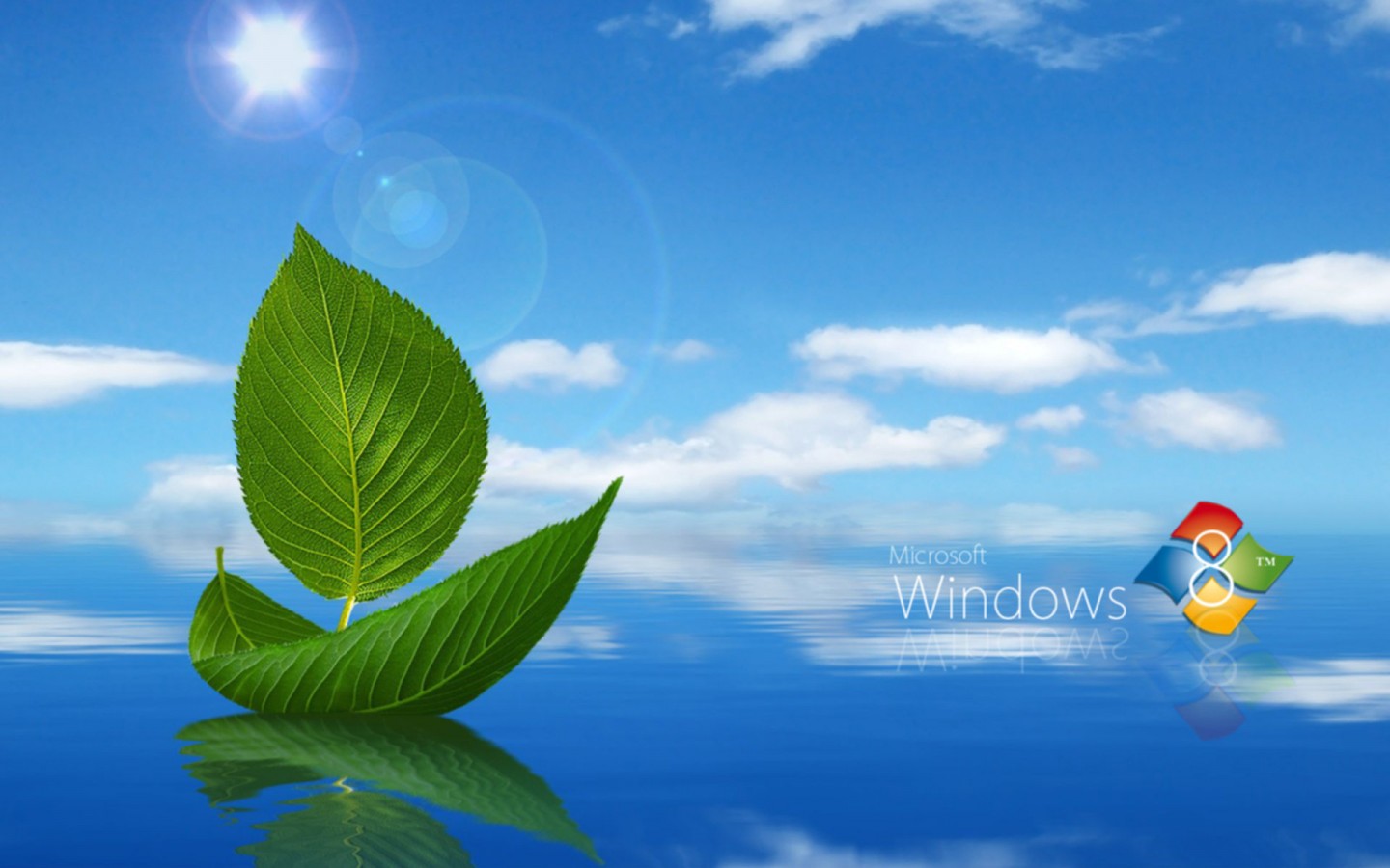 Live Wallpapers For Windows 8 Group (53+)