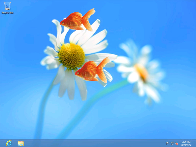 Live Goldfish Wallpaper Freeware Version 1.5.2 by digiaquascr