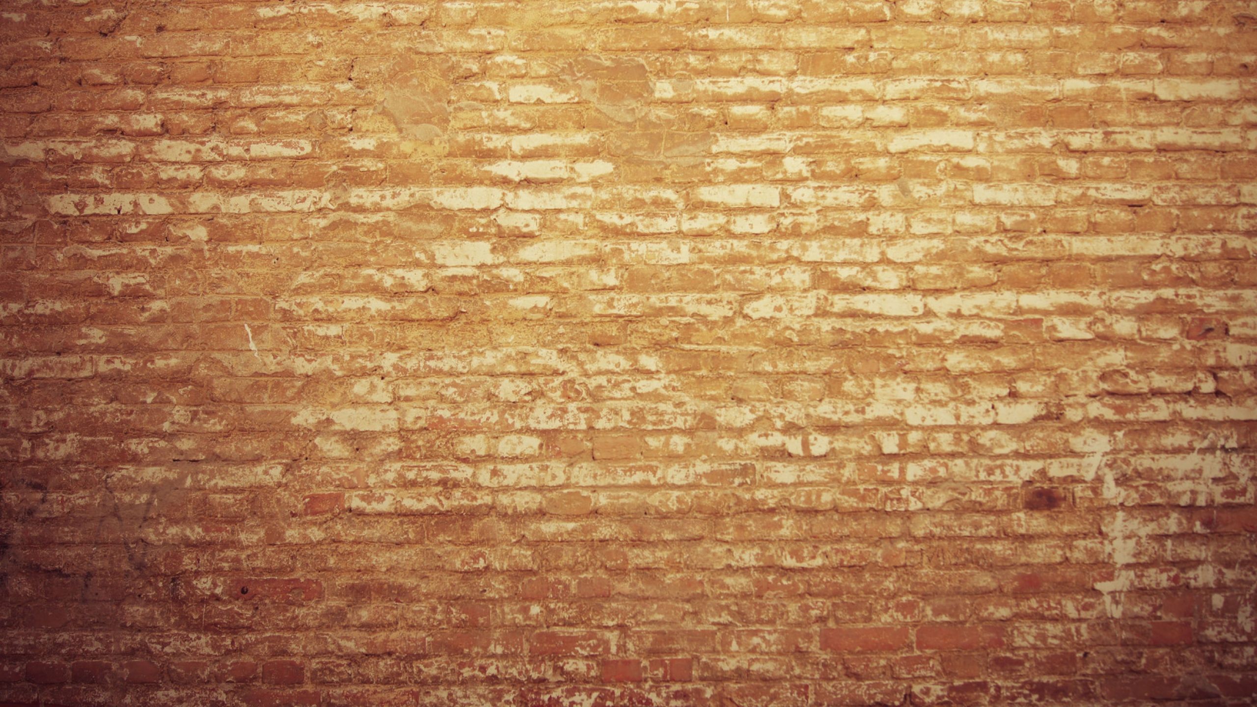 Download Wallpaper 2560x1440 Wall, Brick, Background, Light ...