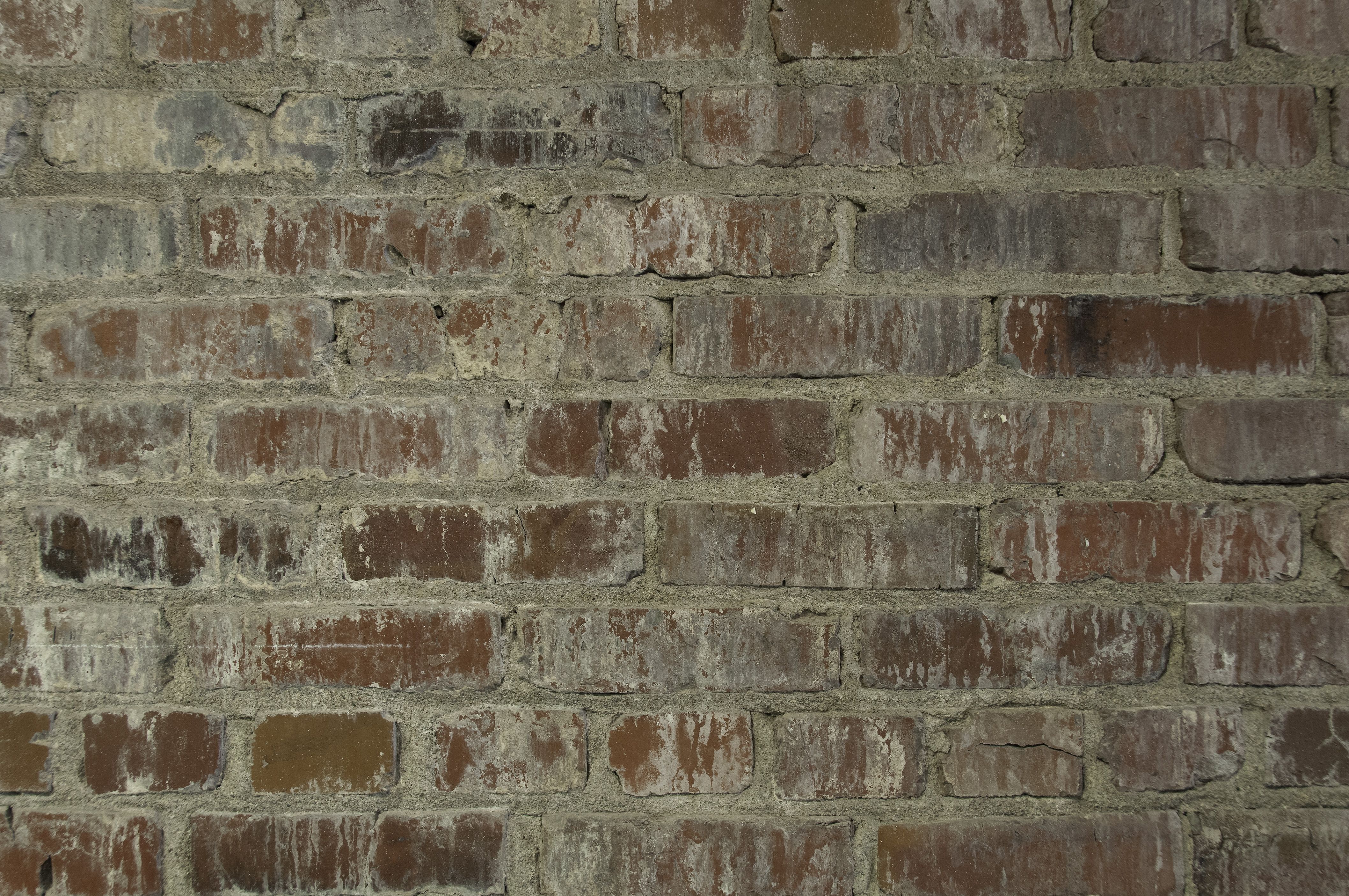 bricks Archives - Foto Du Jour