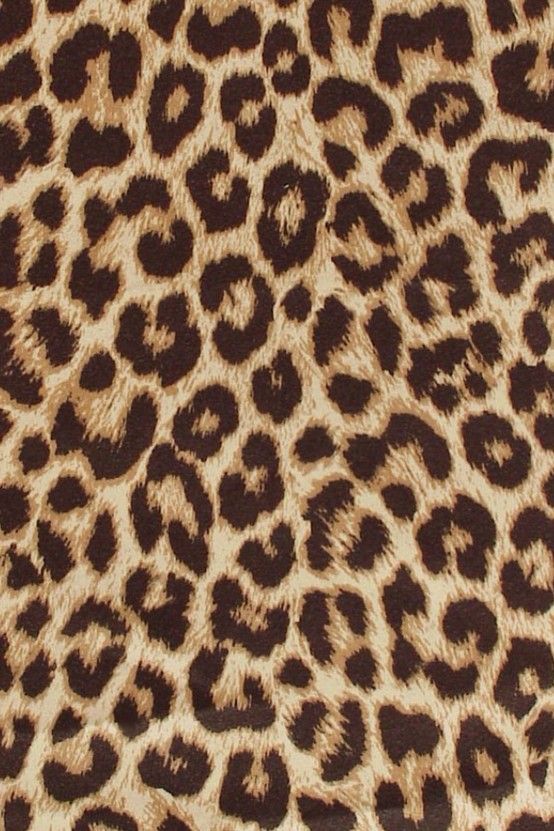 Cheetah print for HD wallpapers  Pxfuel